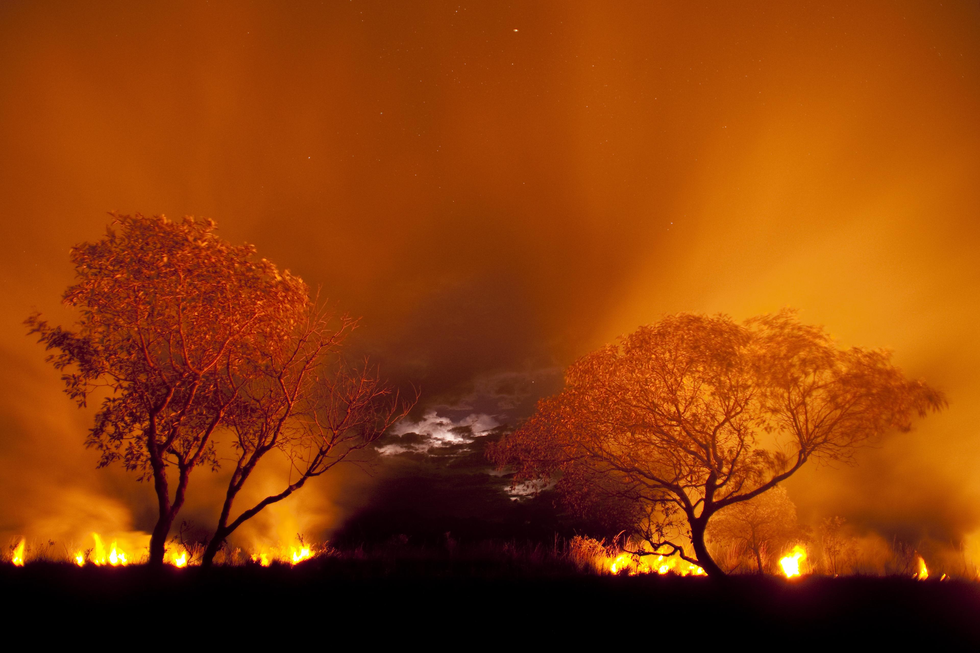 Bosbrand Pantanal