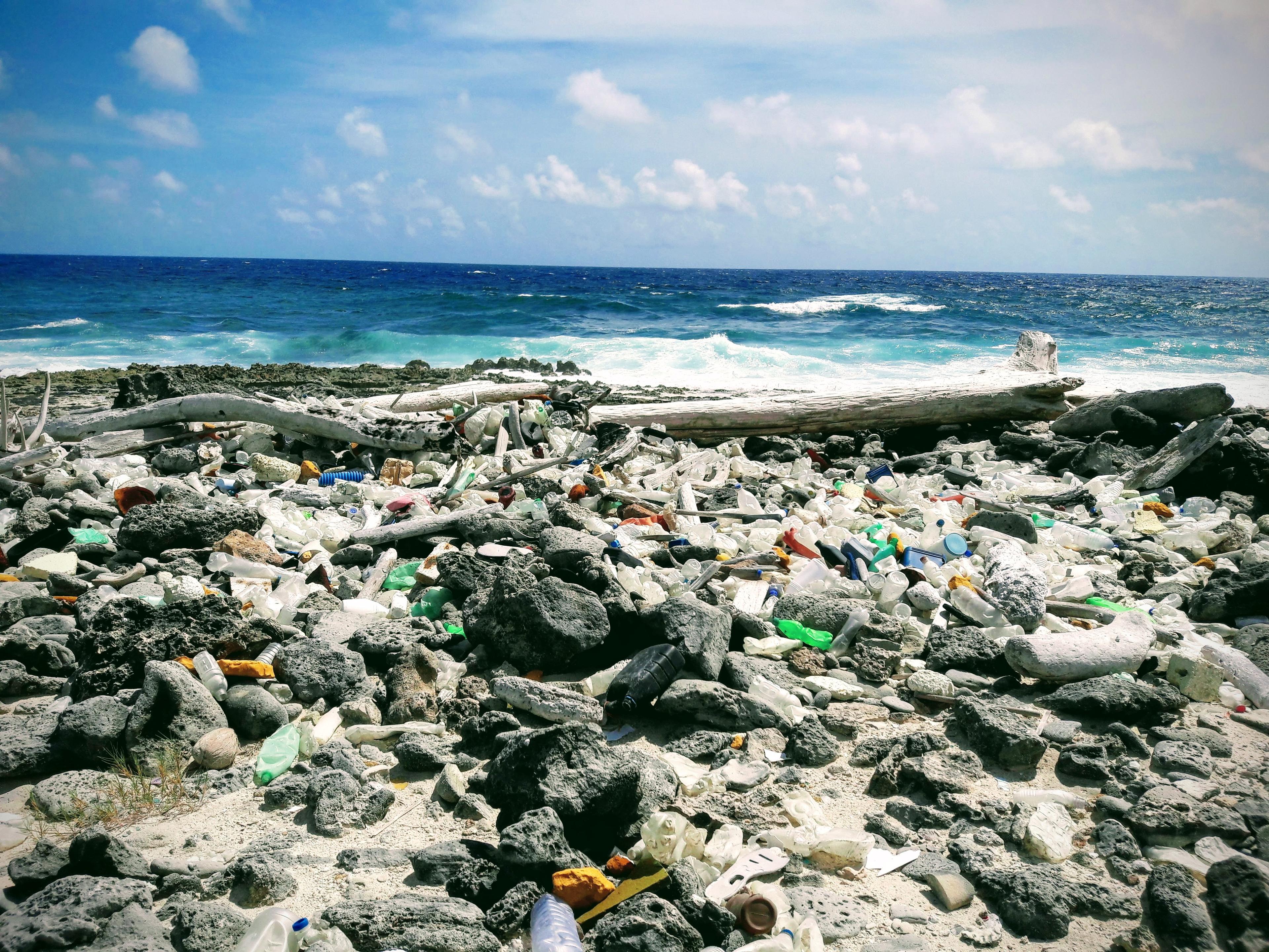 Aangespoelde plastic op Bonaire