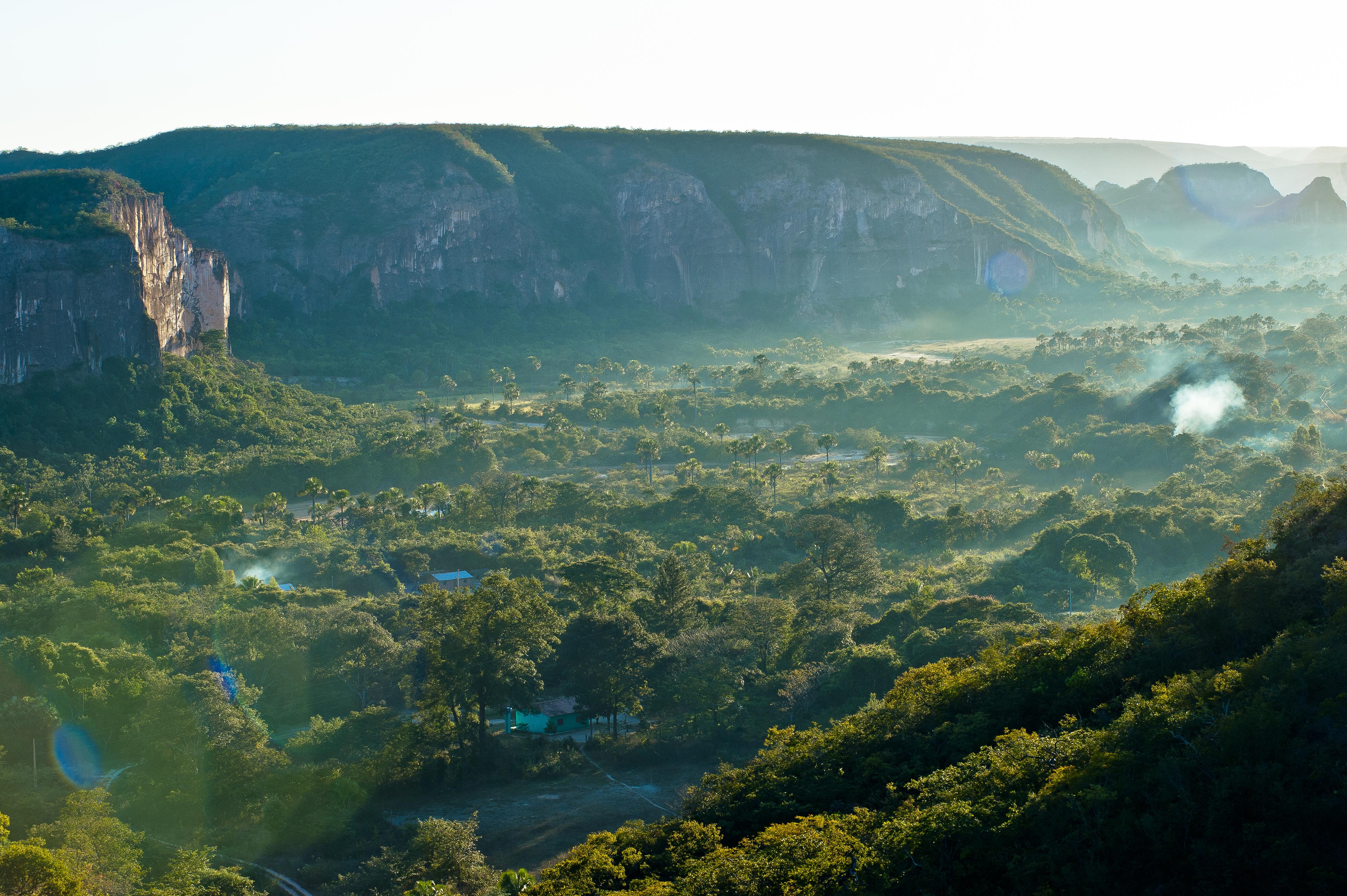 Uitzicht op de Cerrado-bossen, berg op de achtergrond, Brazilië