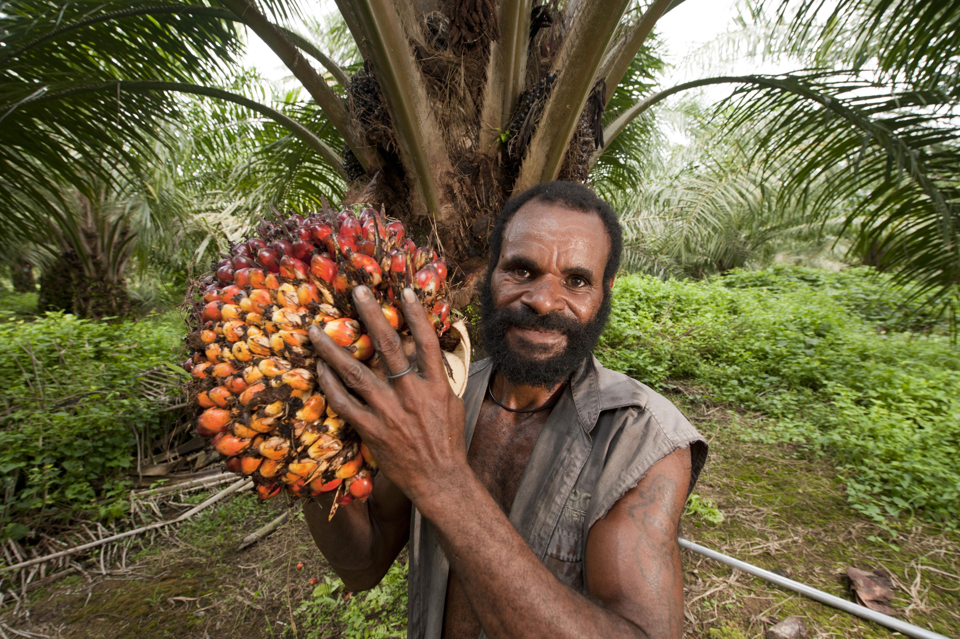 Man met palmvruchten, Nieuw Guinea