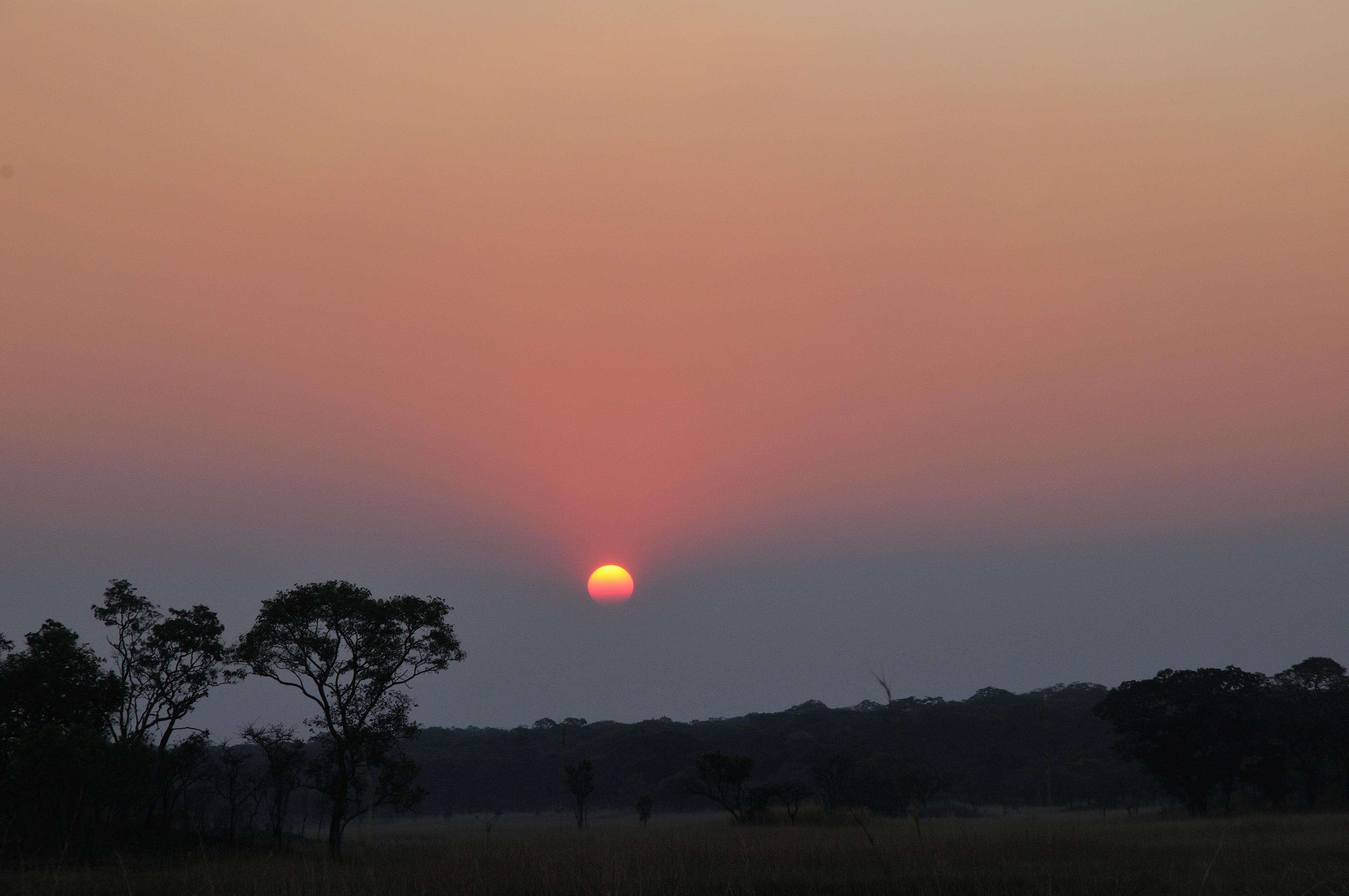 Zonsondergang in Miombo bos