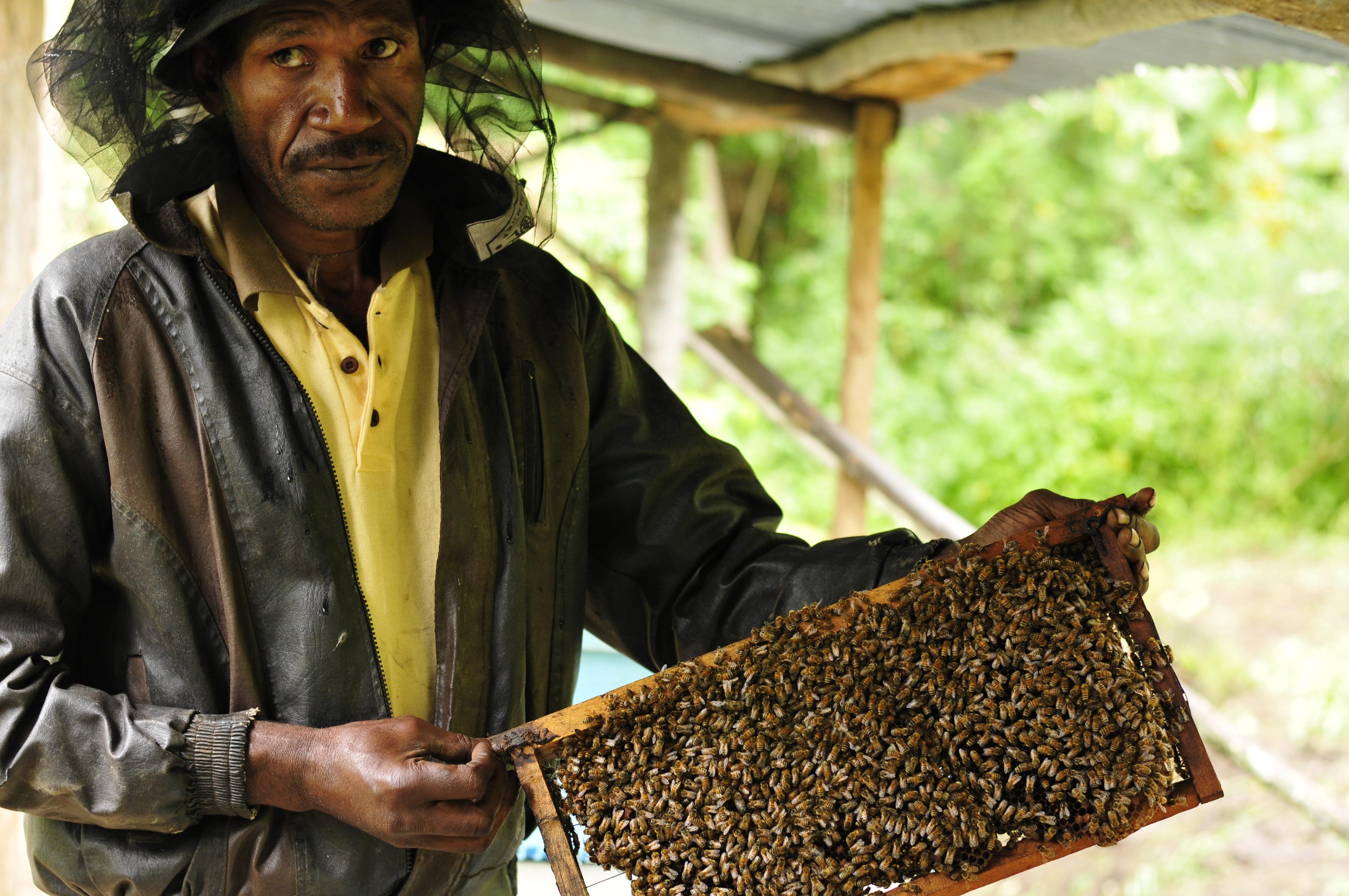 Bijenhouder Papoe Nieuw Guinea
