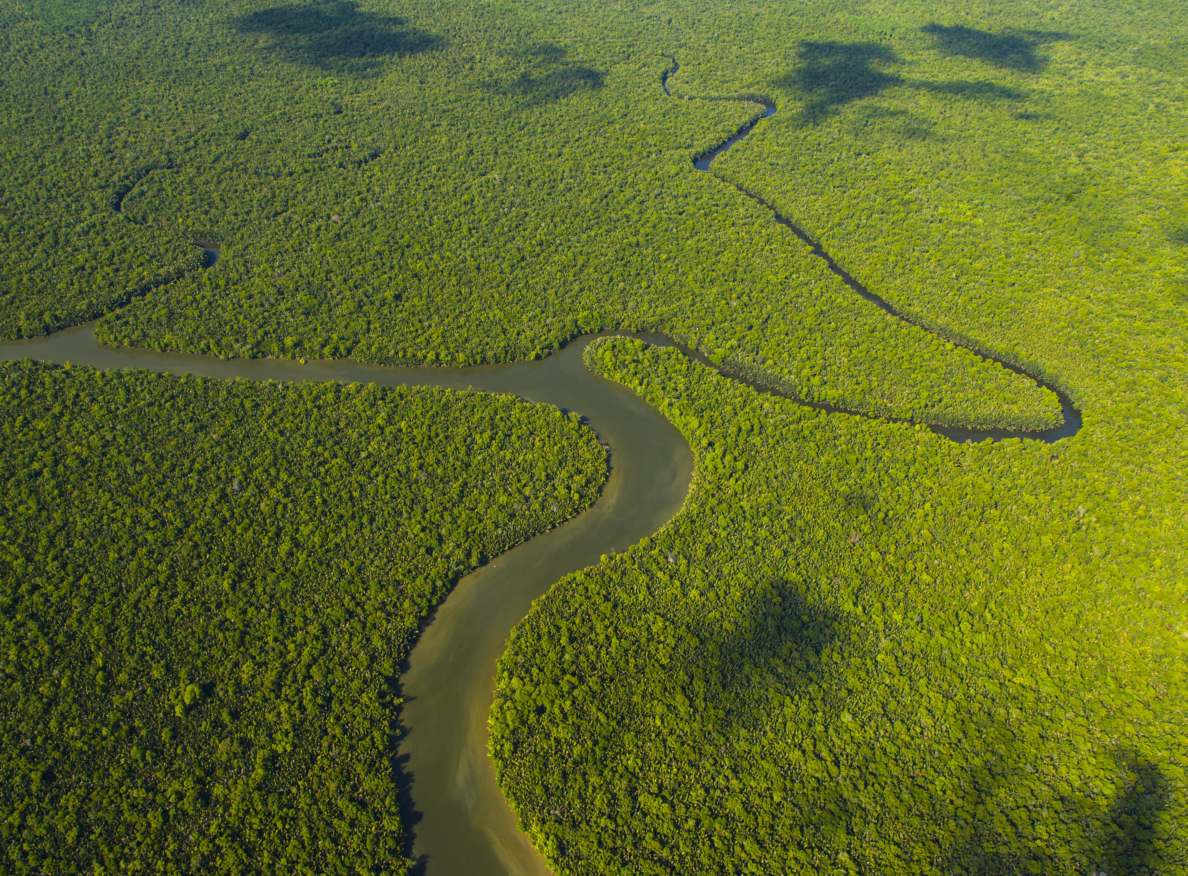Luchtfoto van de rivier de Kinabatangan en het tropische regenwoud van de rivier