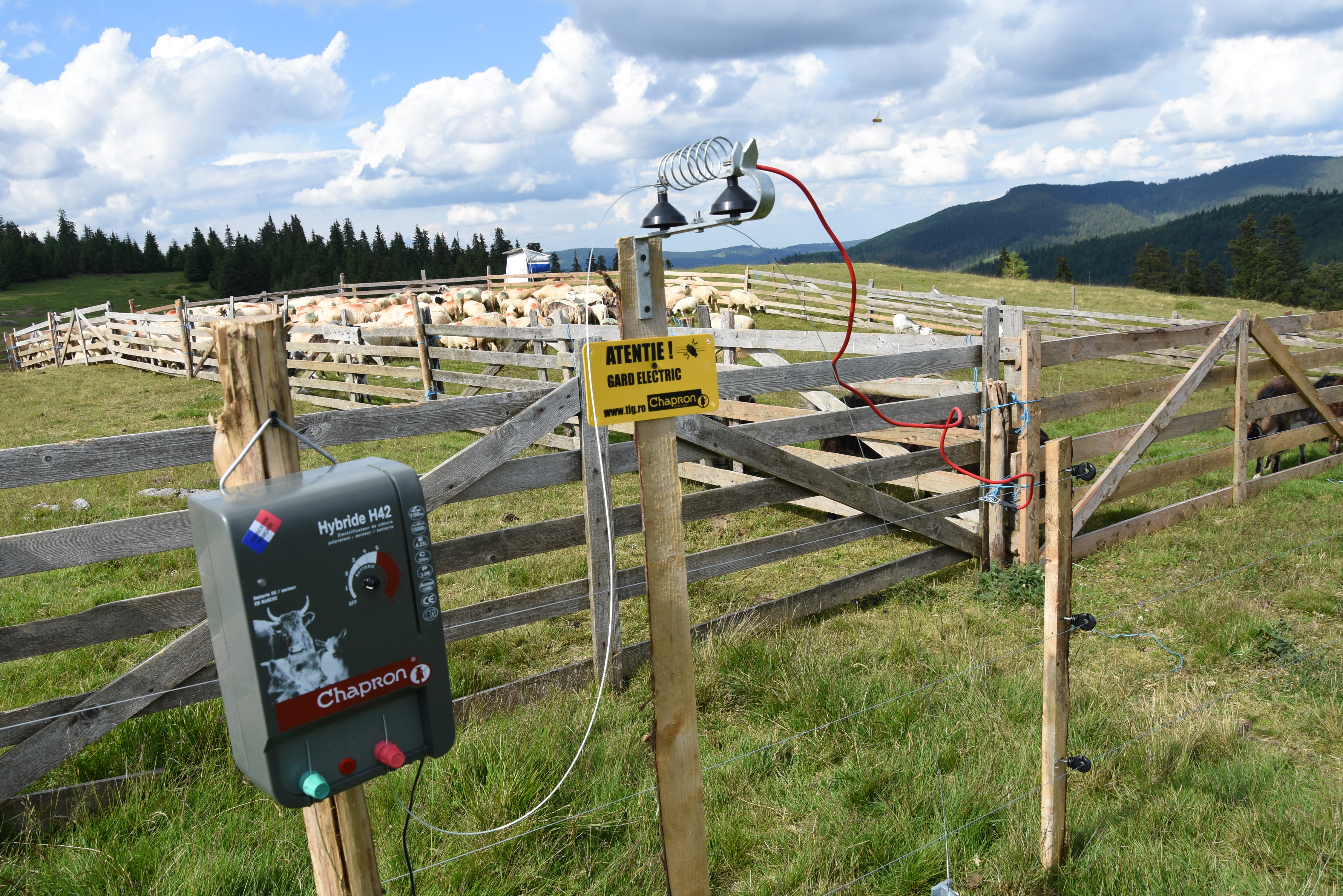 Kraal met elektrisch hek Apuseni mountains