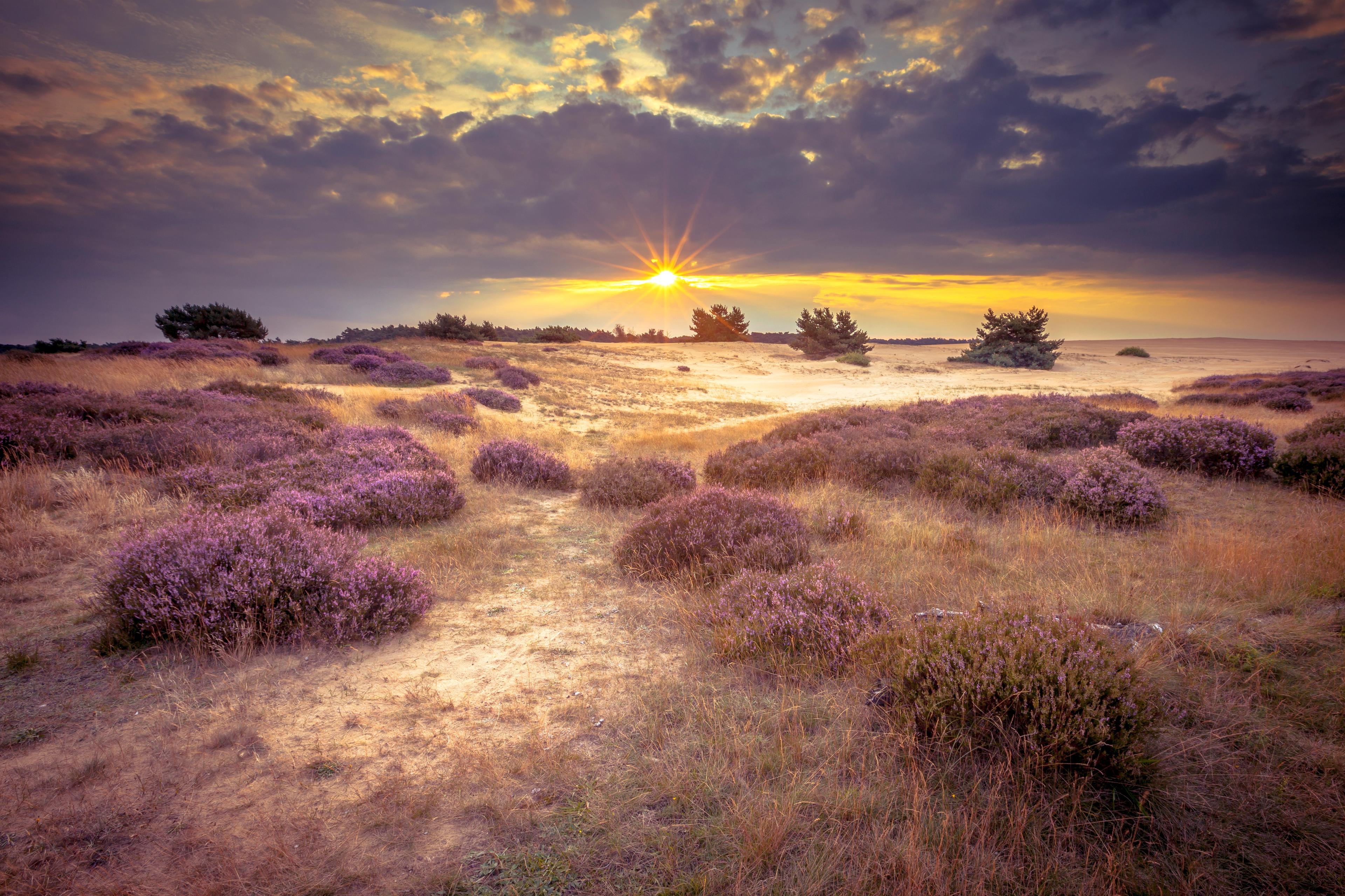 Zandverstuiving hoge veluwe