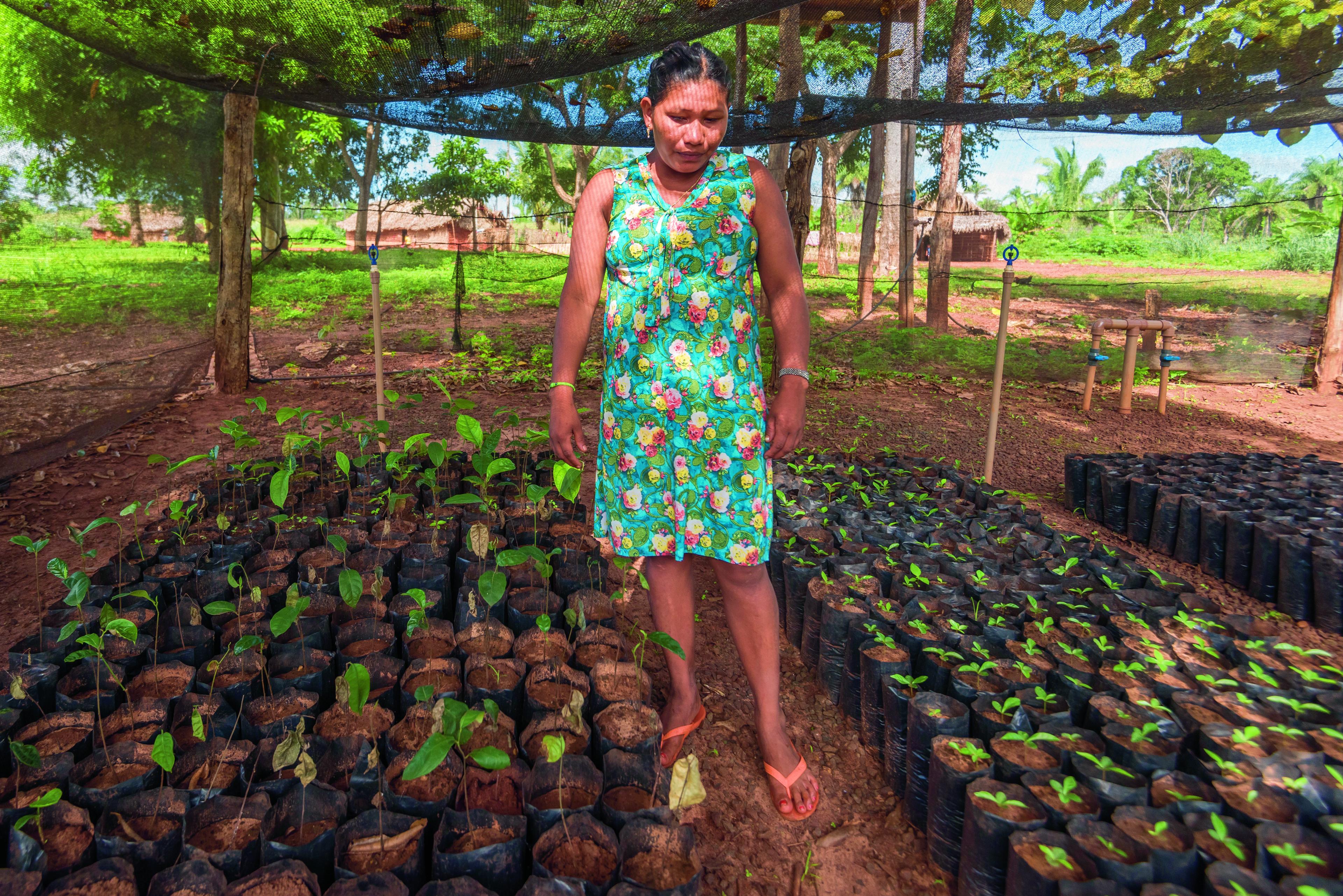 Vrouw tussen de plantjes, Cerrado