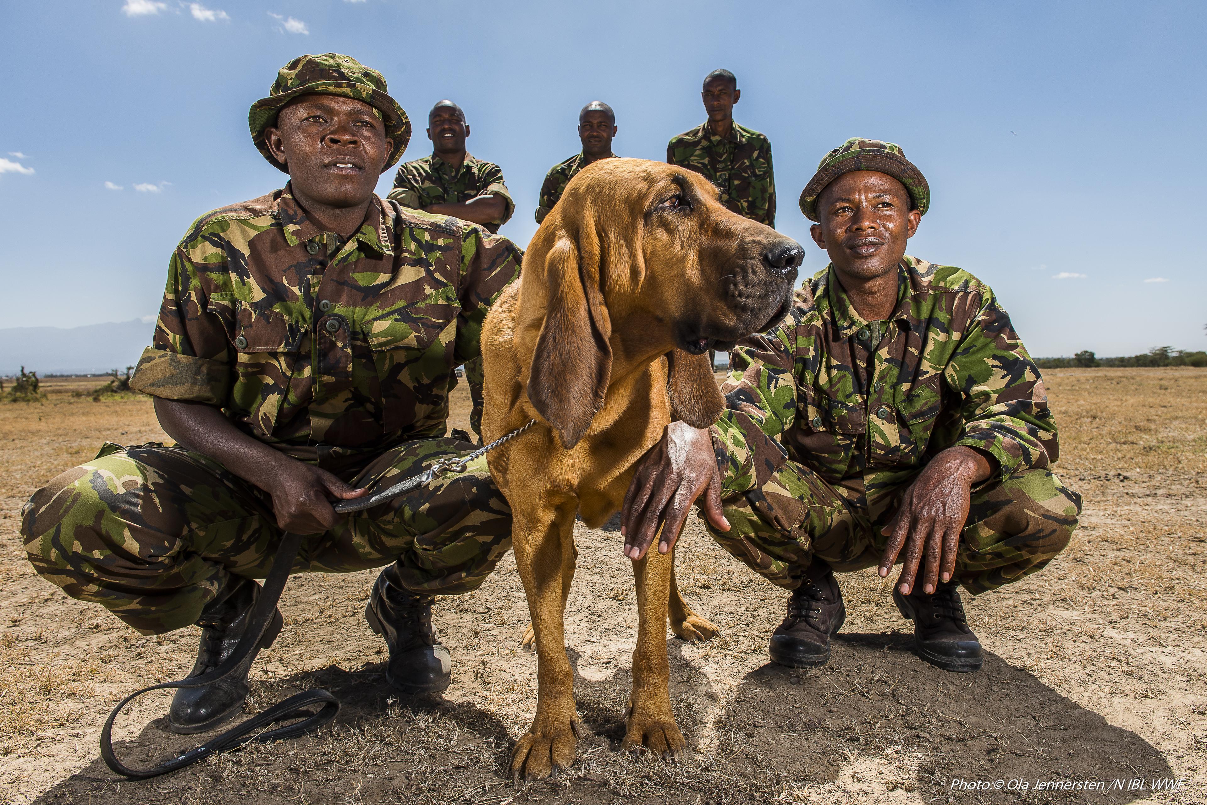 WNF-rangers met speurhond in Kenia
