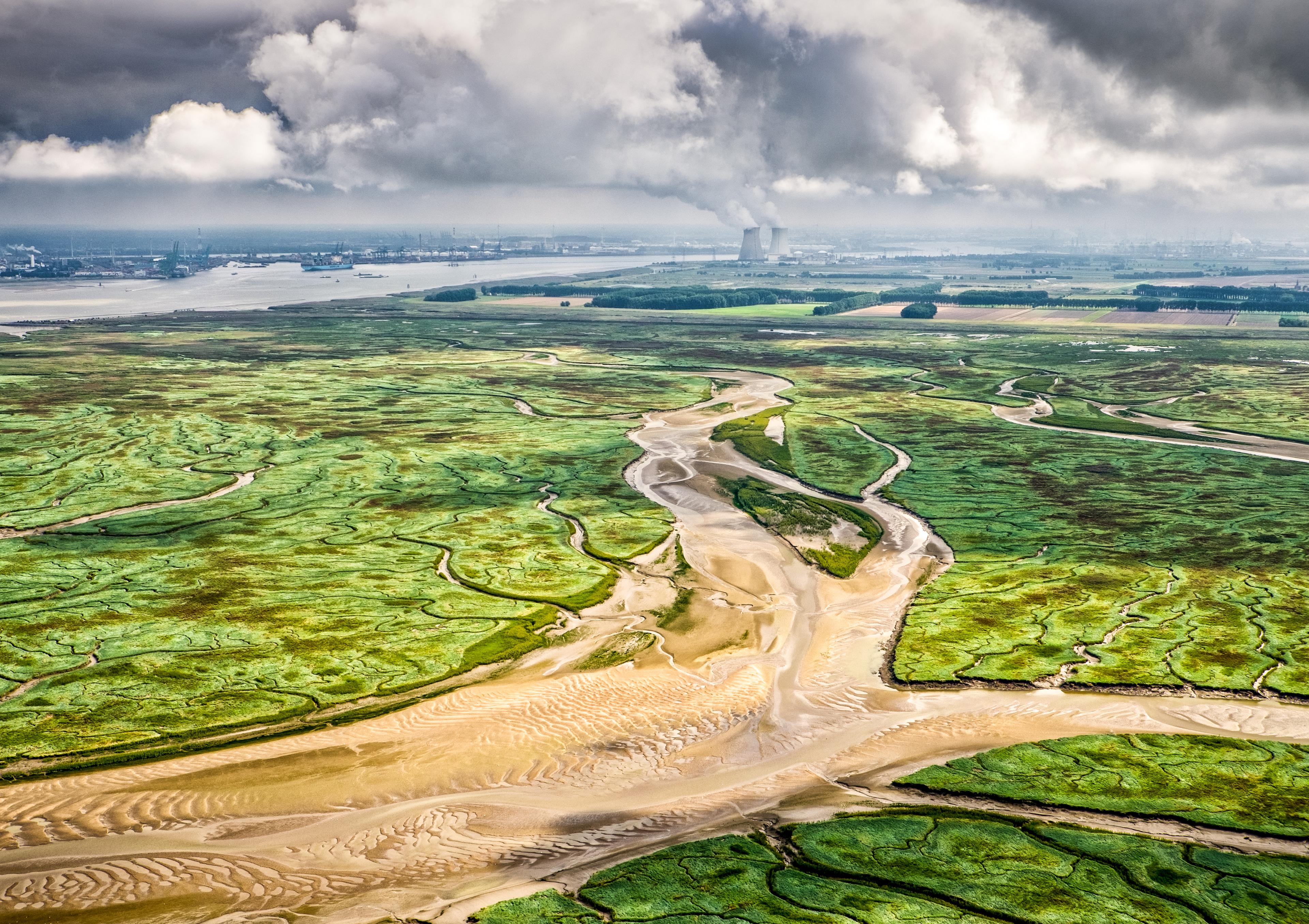 Nederlandse Delta