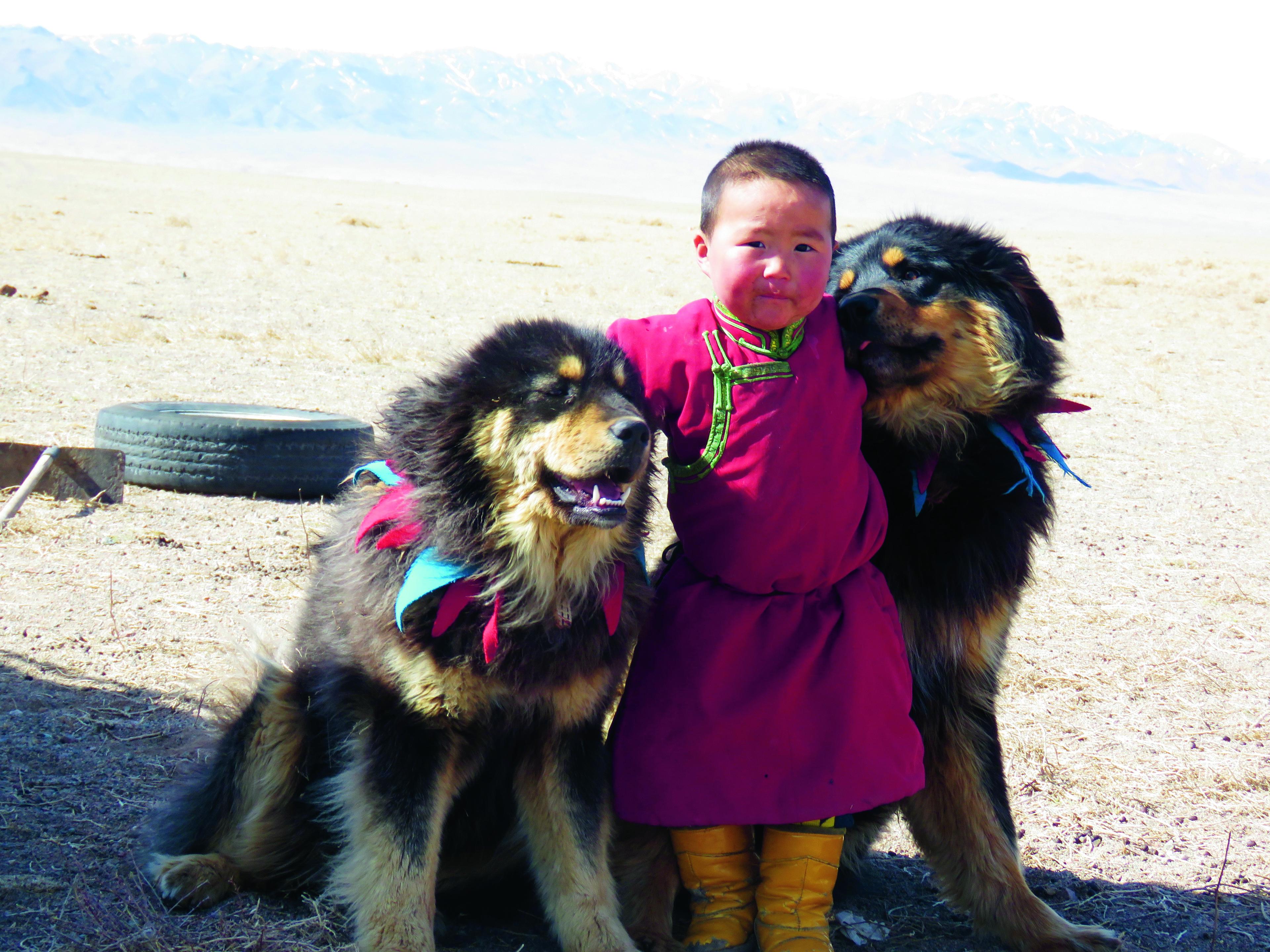 Kind met honden in Mongolië