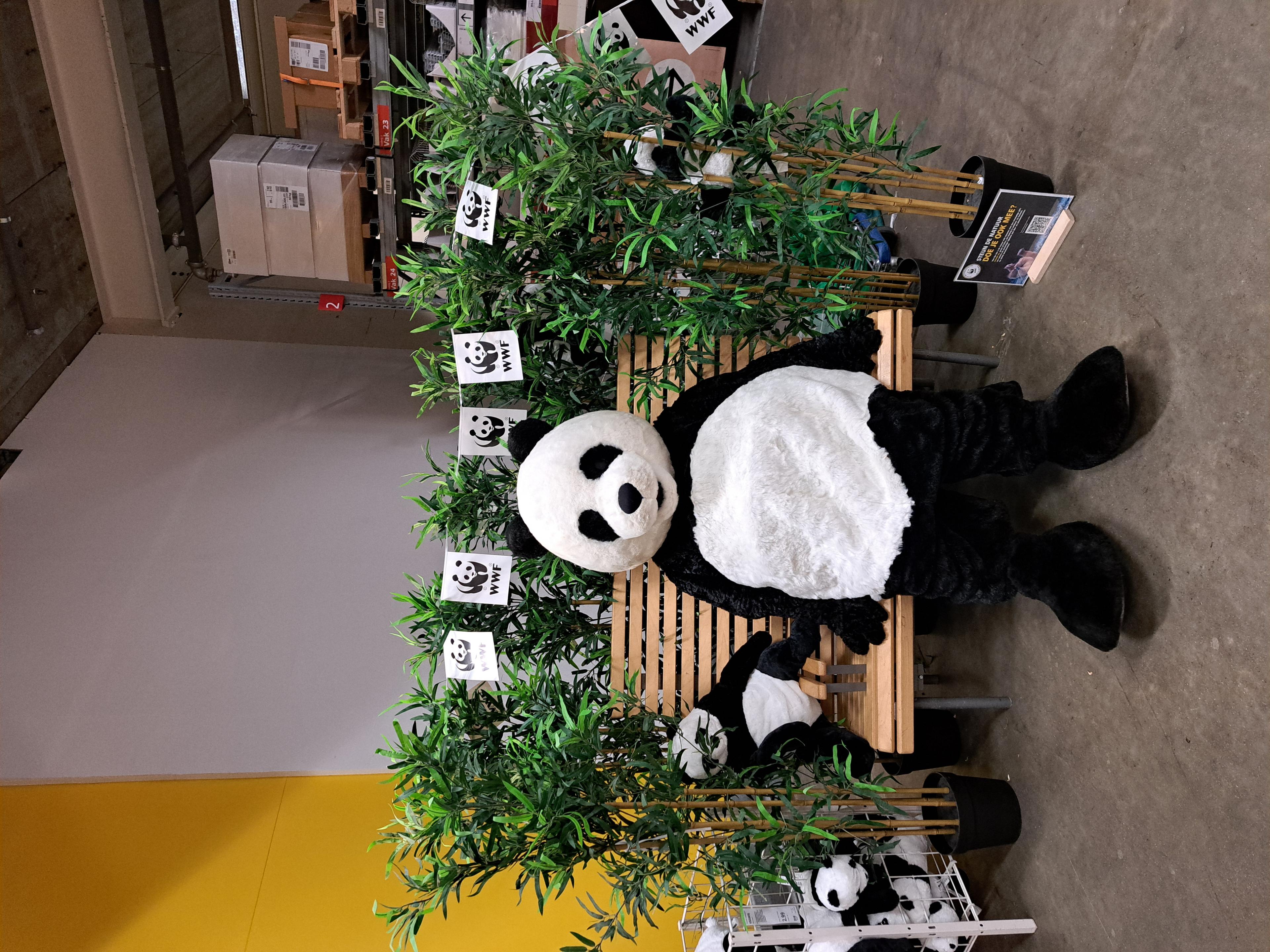 Panda in de IKEA