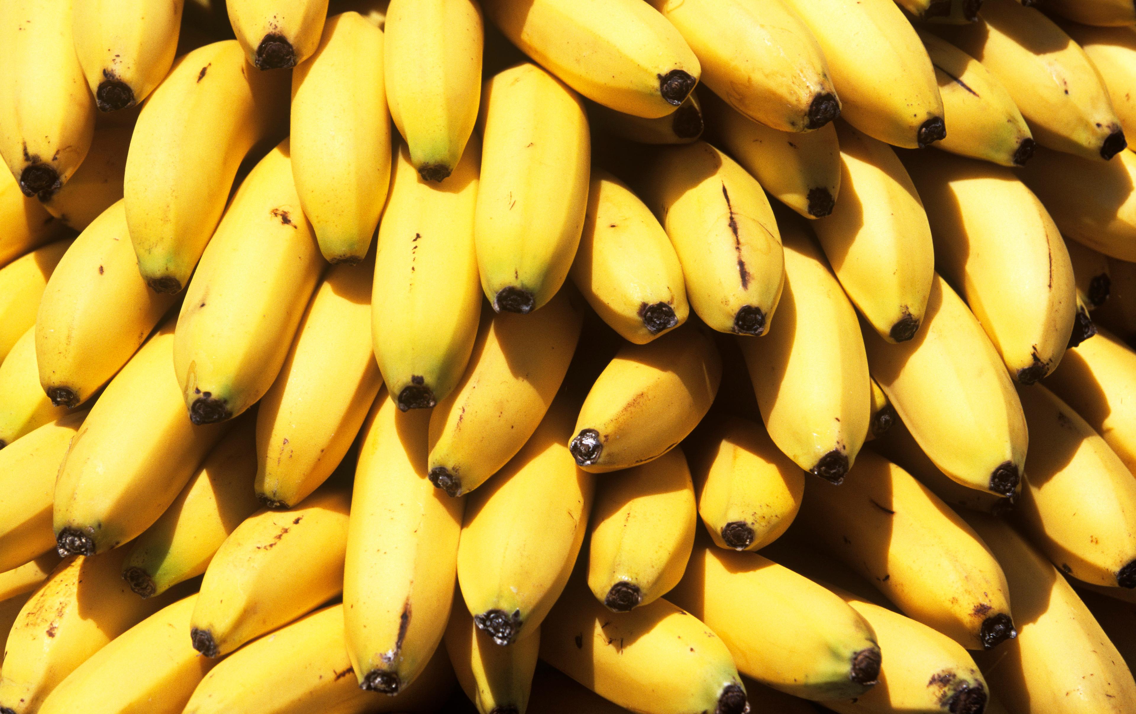 Veel bananen