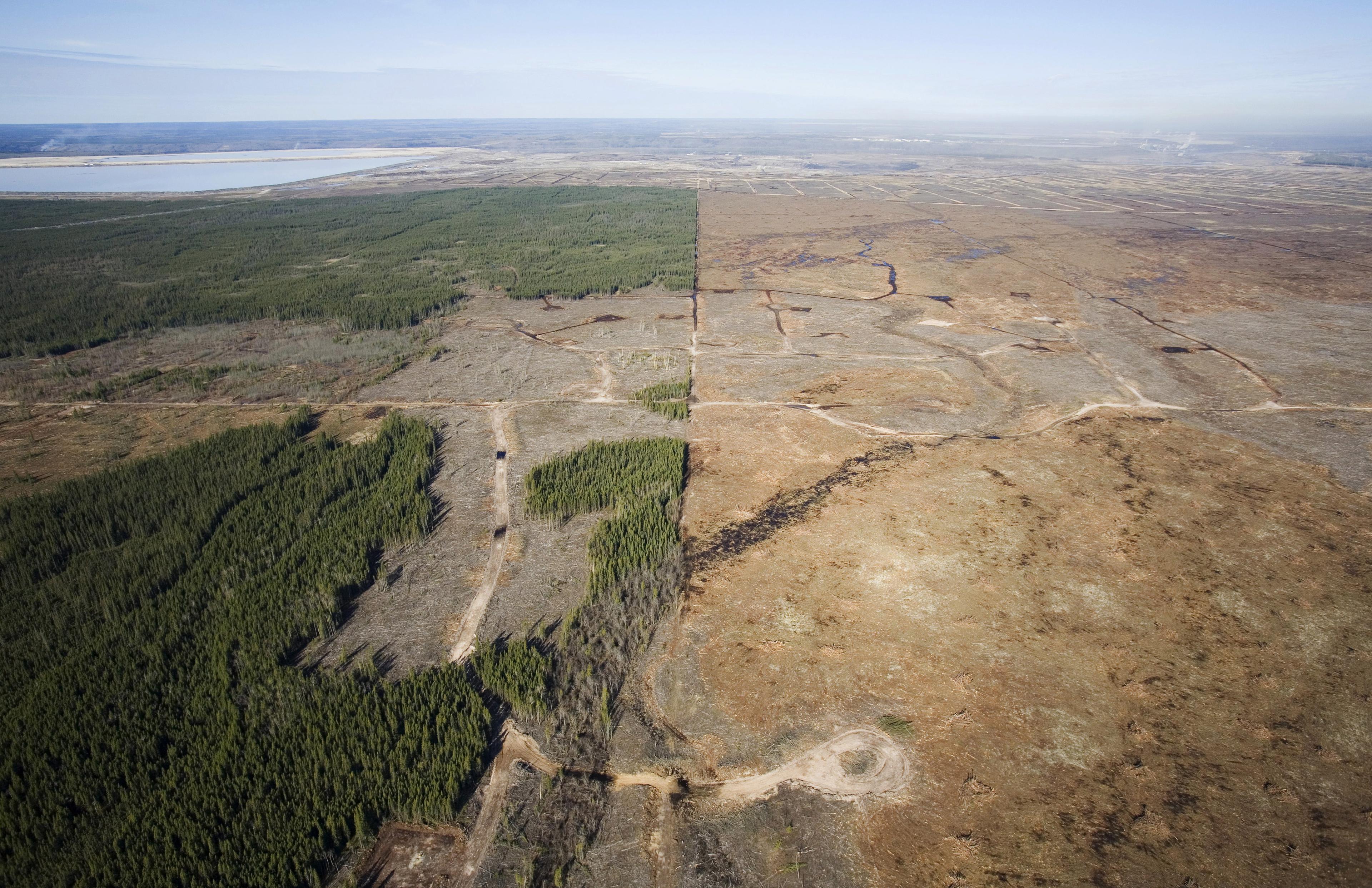 Luchtfoto van de ontbossing schade