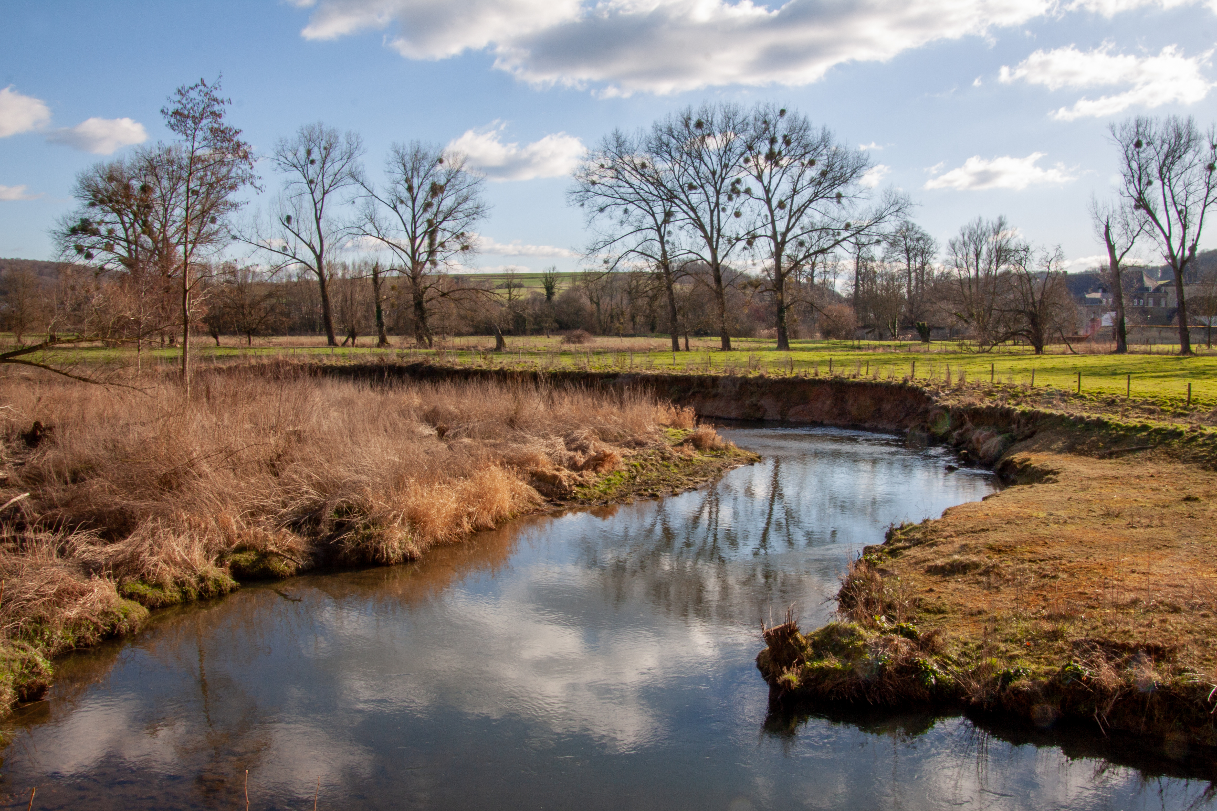 Rivier bocht, Limburg
