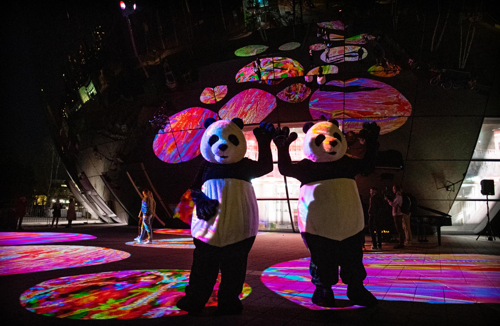 Twee pandapakken in Rotterdam