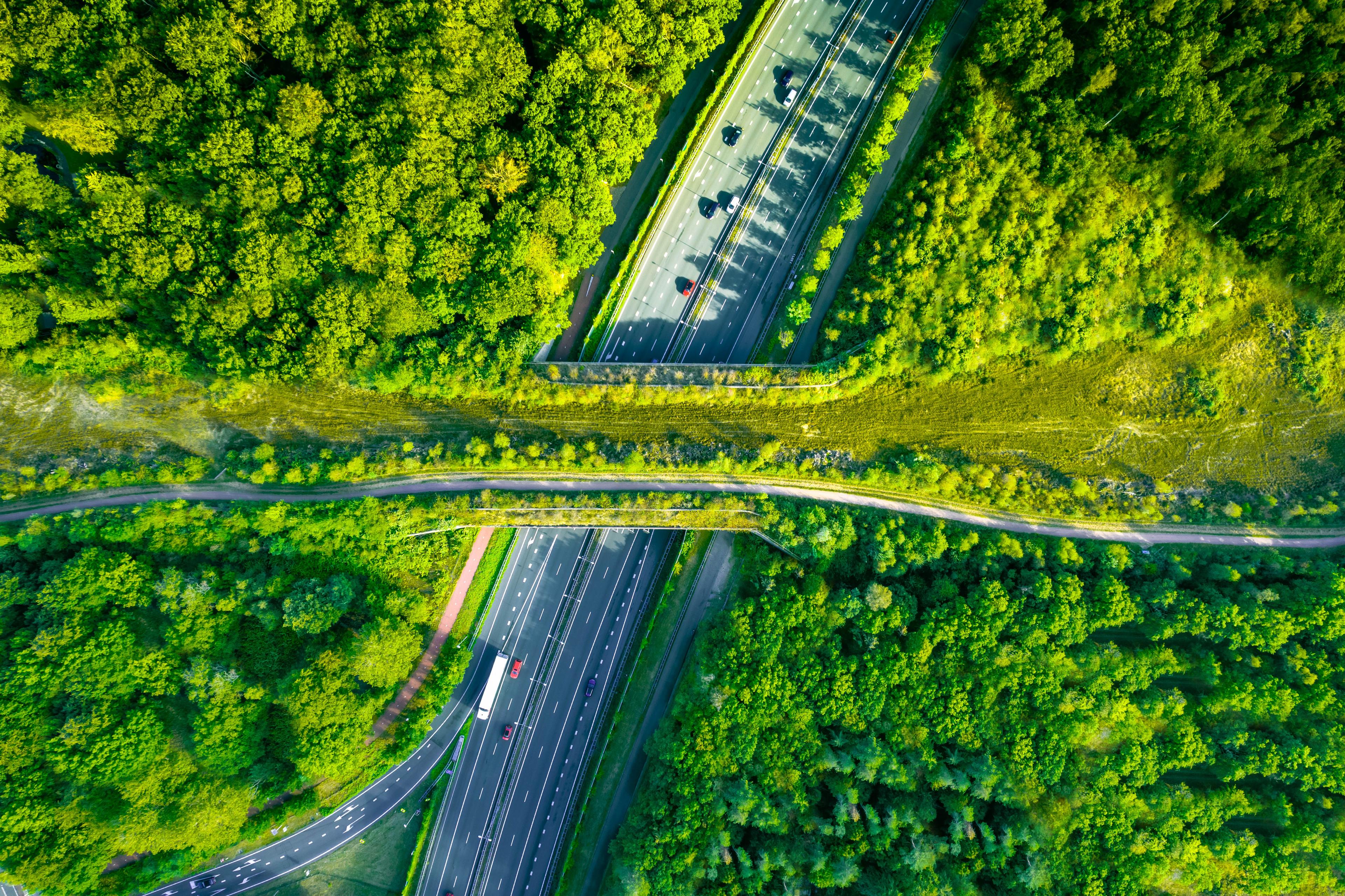 Ecoduct over een snelweg heen, Nederland, van bovenaf