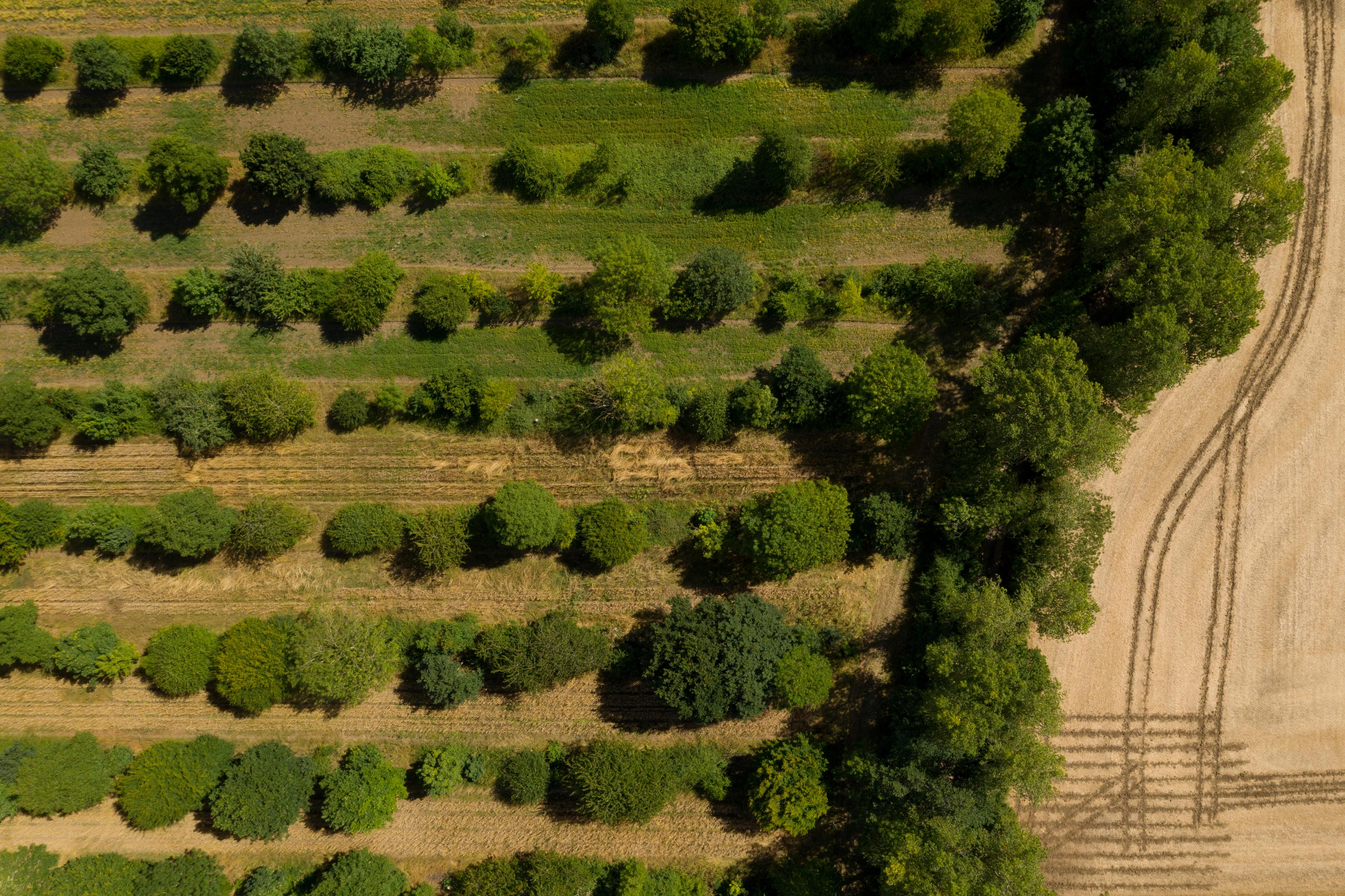 Een luchtfoto van een organische boerderij in Suffolk, Engeland