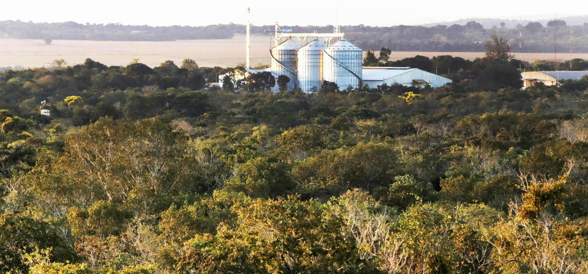 Een boerderij verwerkt soja aan de rand van ongerepte Cerrado in Mato Grosso, Brazilië. De uitbreiding van sojaboerderijen heeft geleid tot grootschalige ontbossing en vernietiging, waardoor biodiversiteit in de Cerrado en de Amazone verloren gaat.
