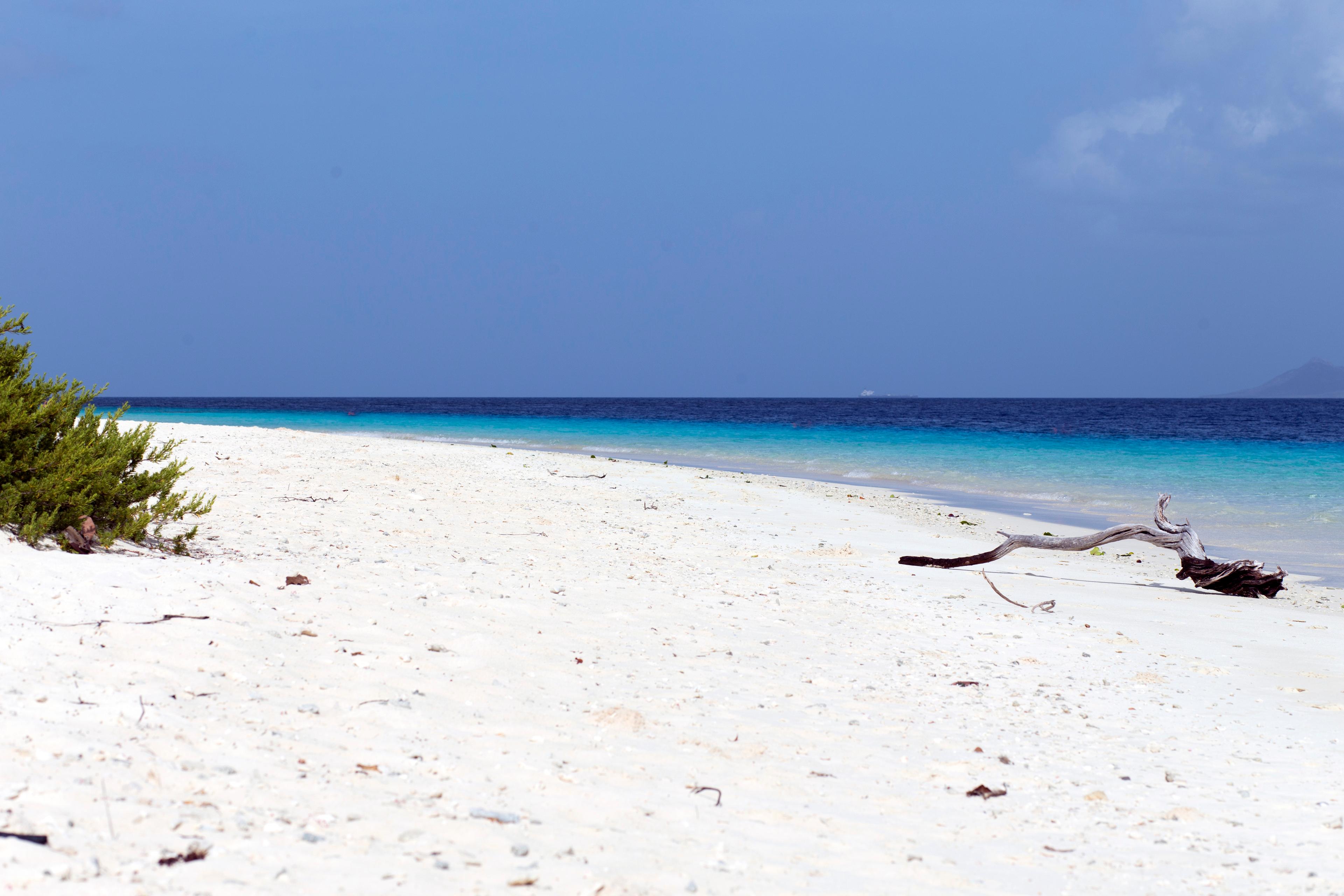 Bonaire wit strand, blauwe zee