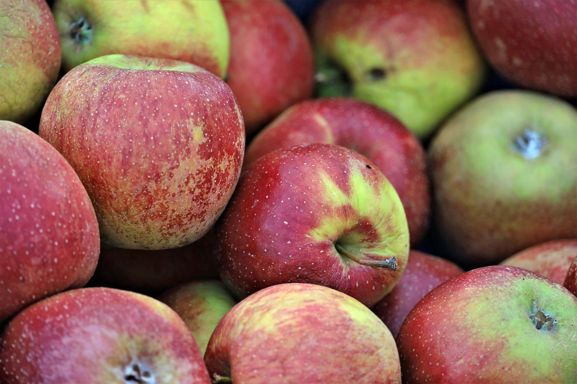Appels