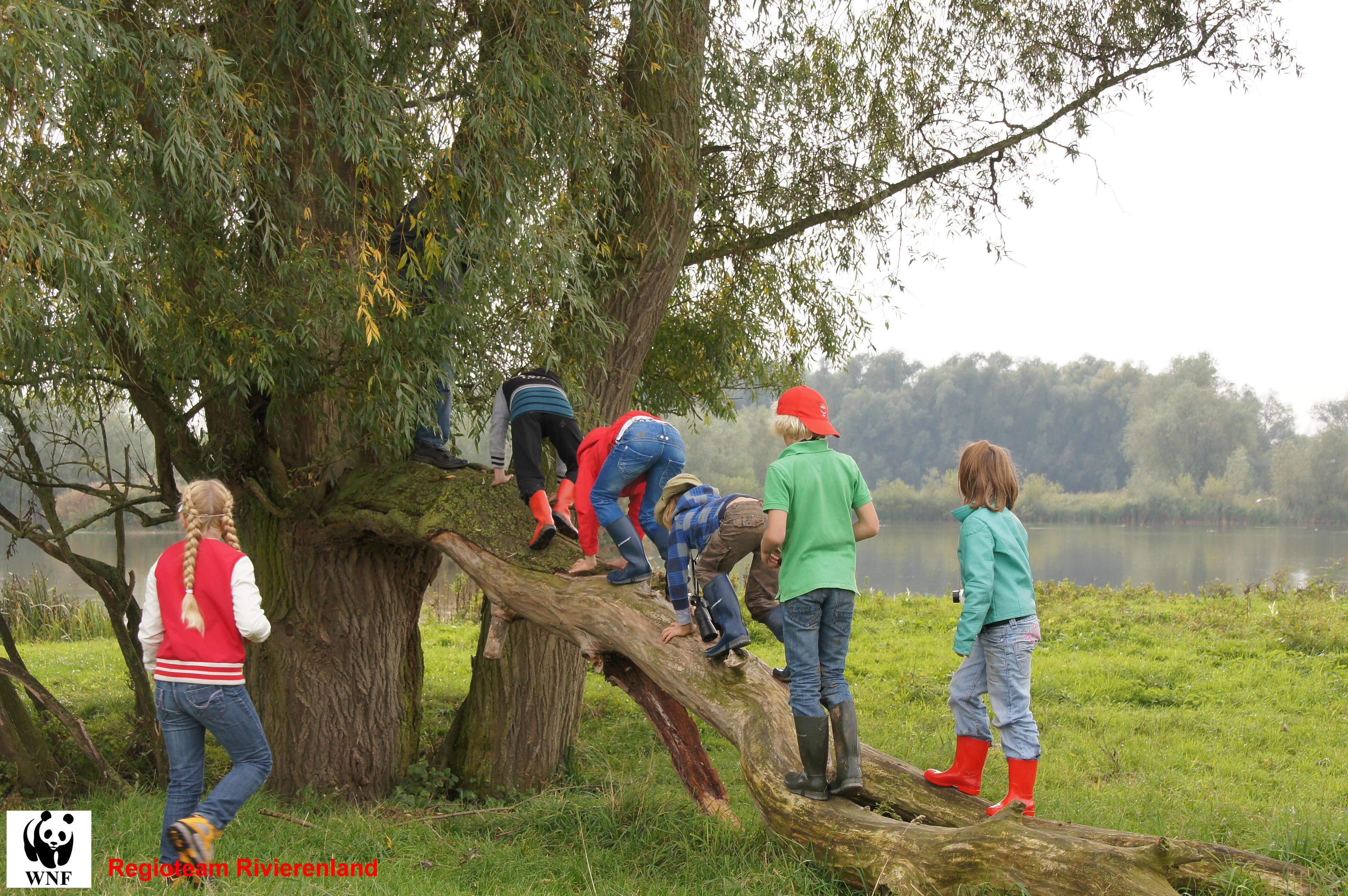 Kinderactiviteit Rivierenland
