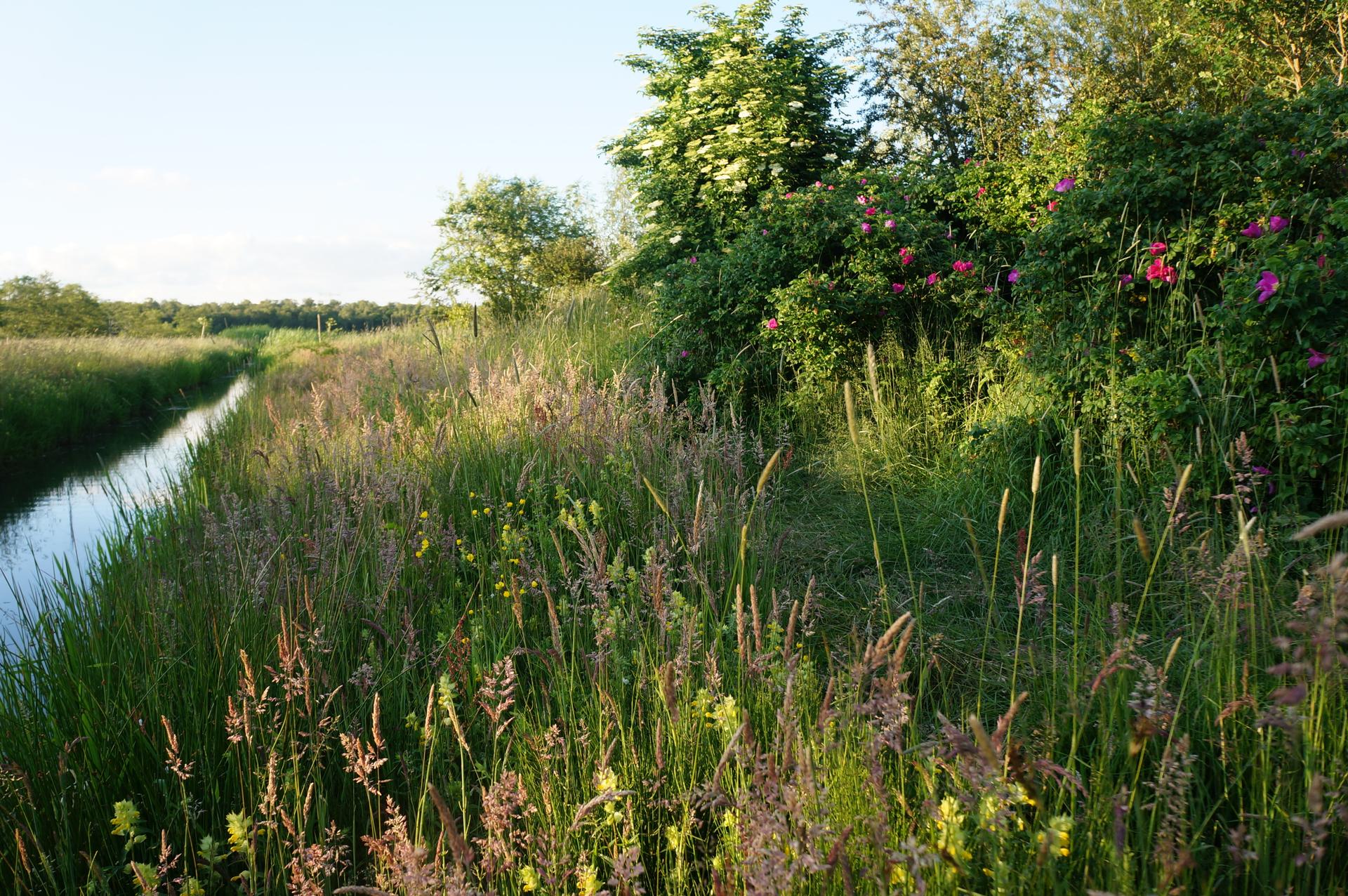 voedselbos Haarzuilens