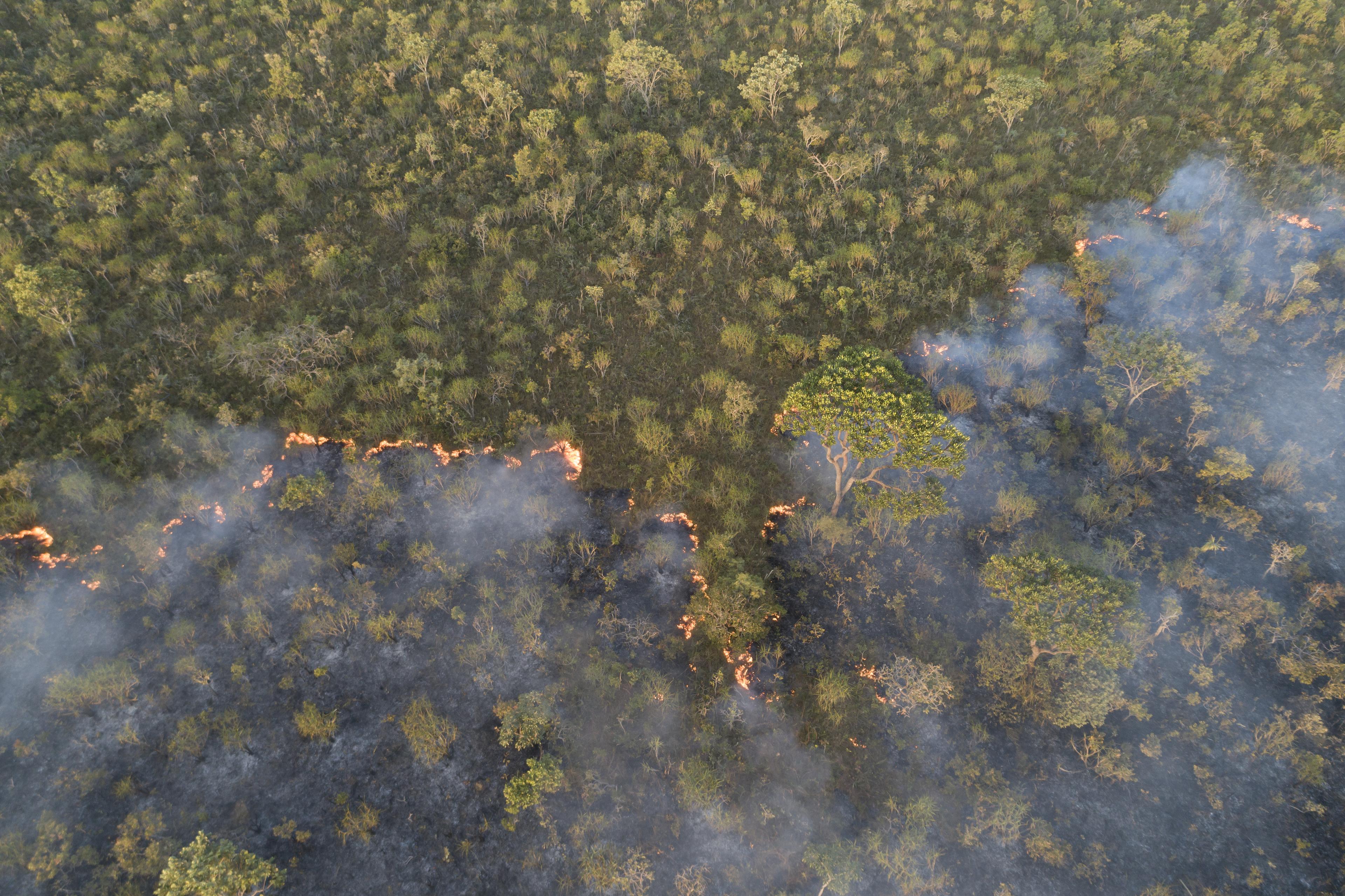 Bosbrand vanaf boven in de Cerrado, Brazilië