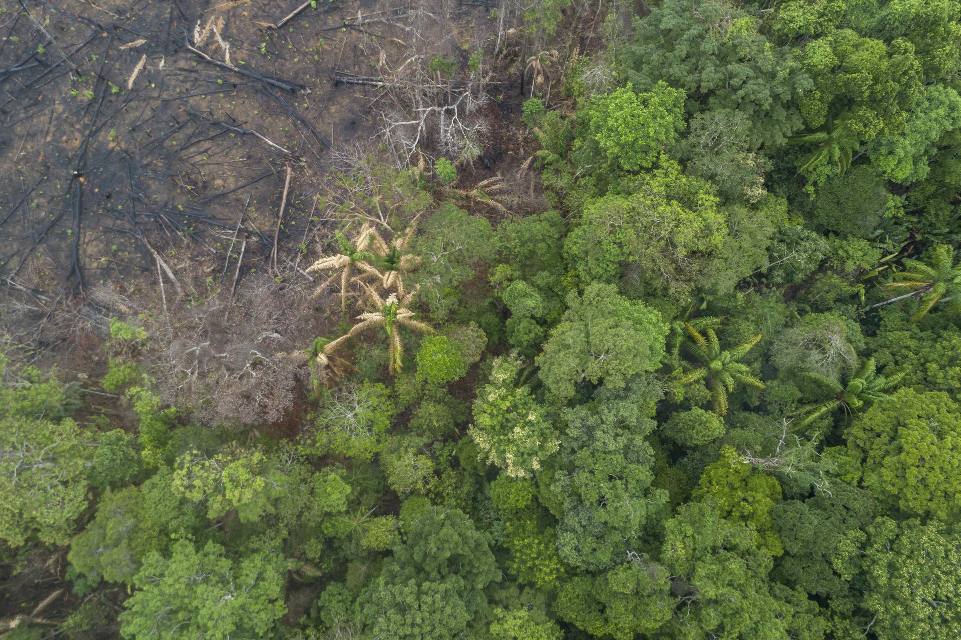 Bovenaanzicht van ontbossing in de Amazone