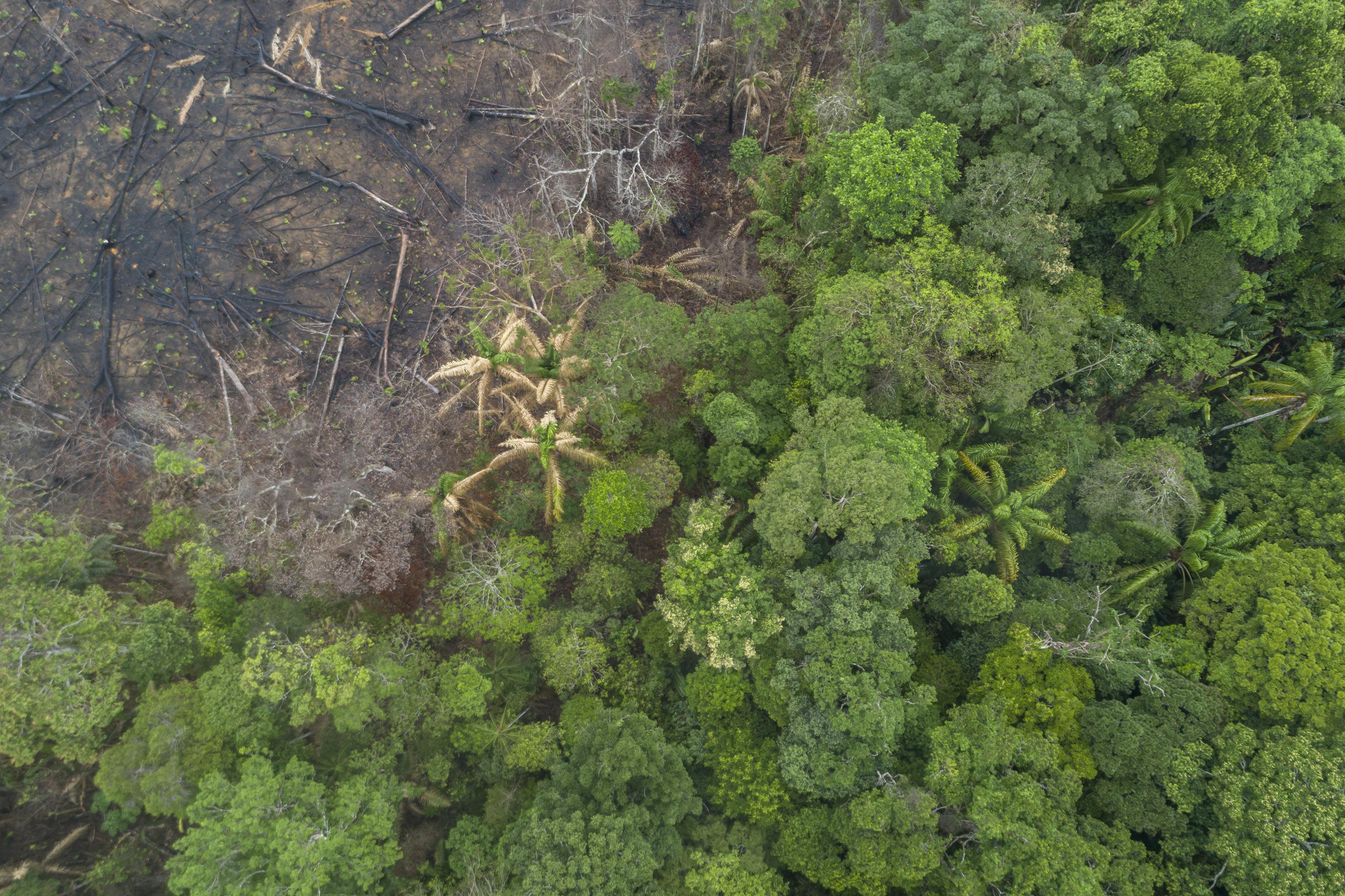 Bovenaanzicht van ontbossing in de Amazone
