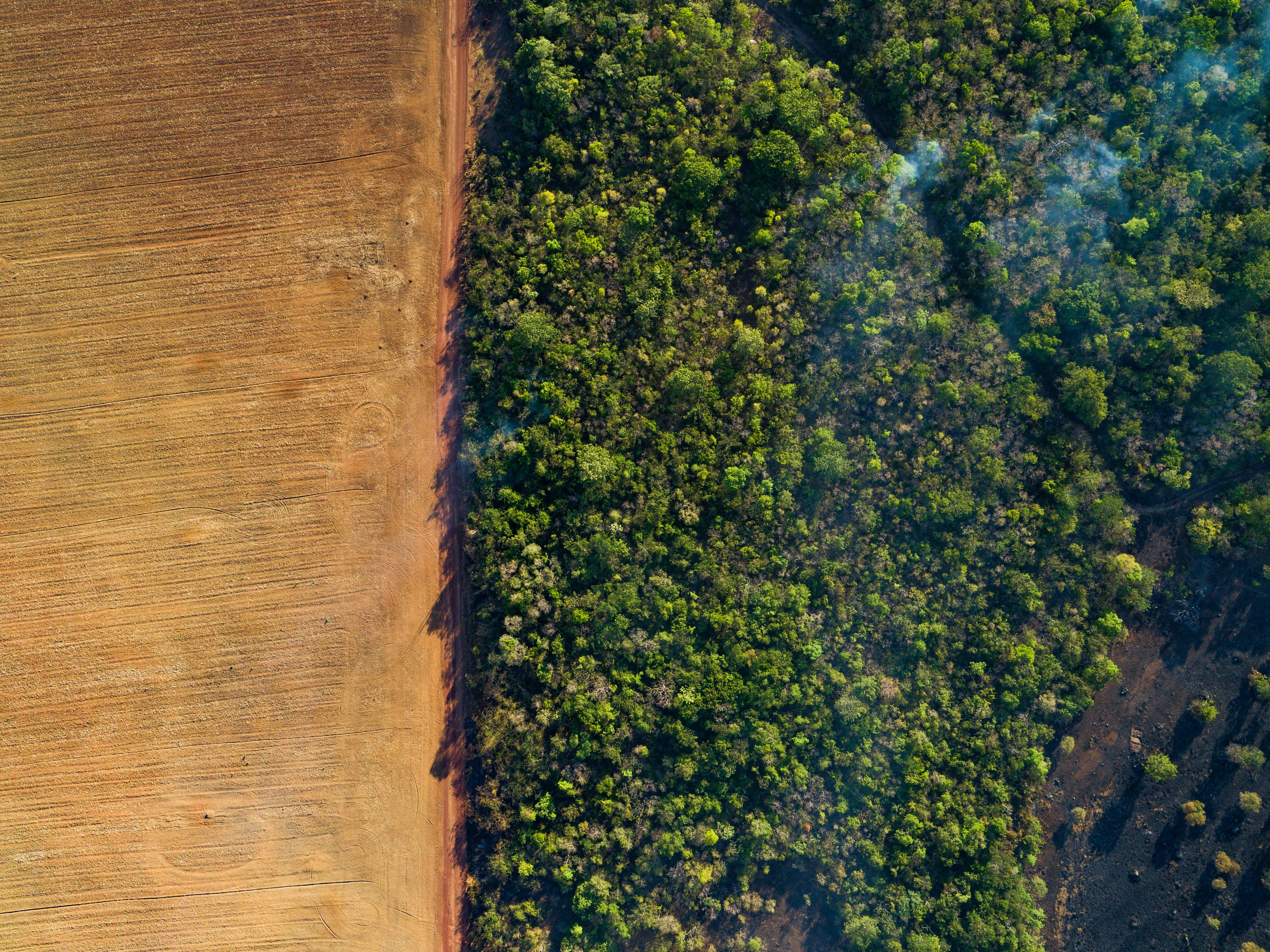 Bovenzicht van een bosbrand naast landbouwgrond, Brazilië