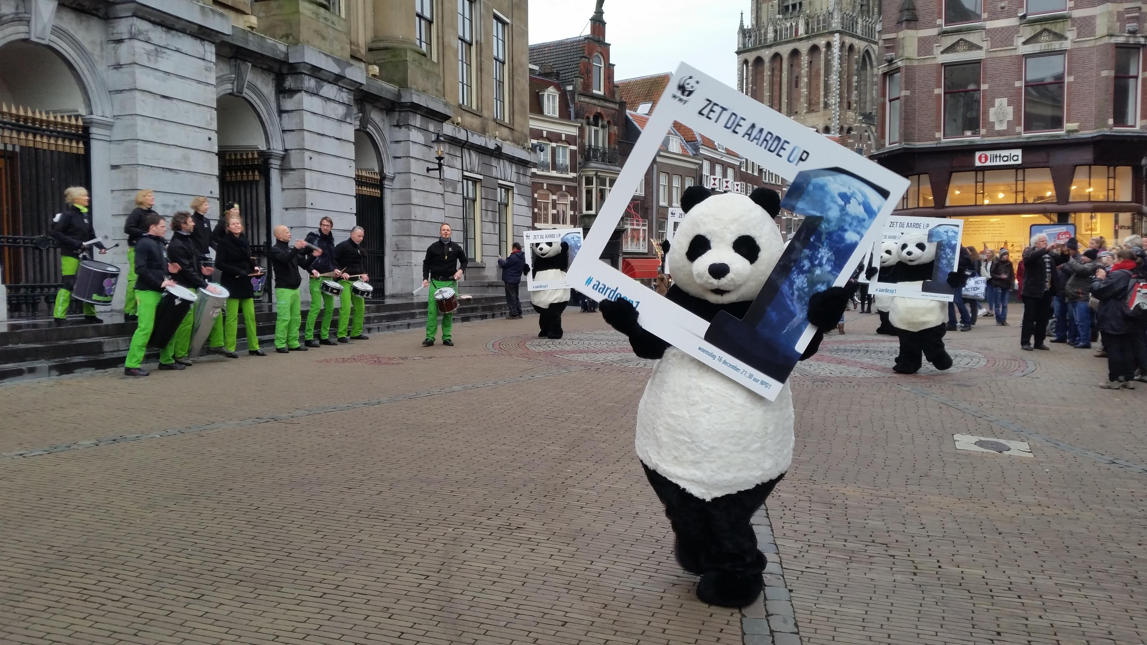 panda in pak houd fotoframe vast op de dam