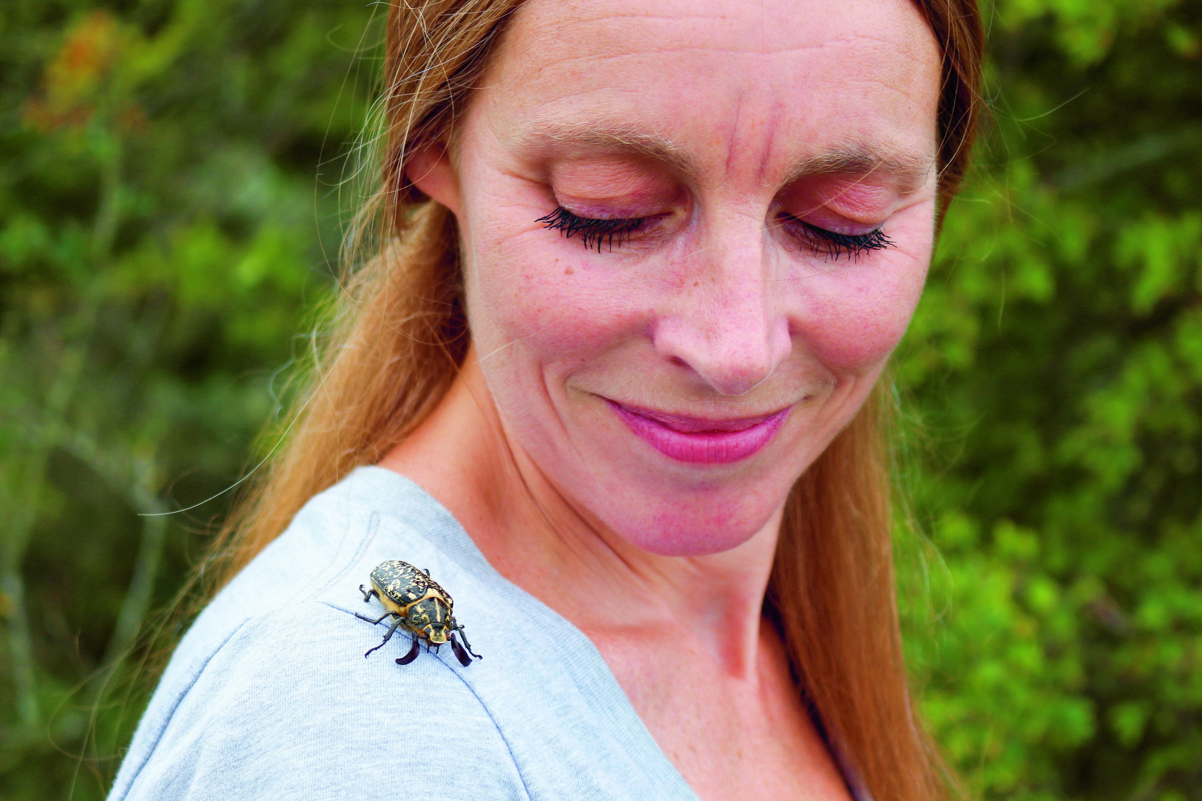 Aglaia met Polyphylla fullo ofwel julikever