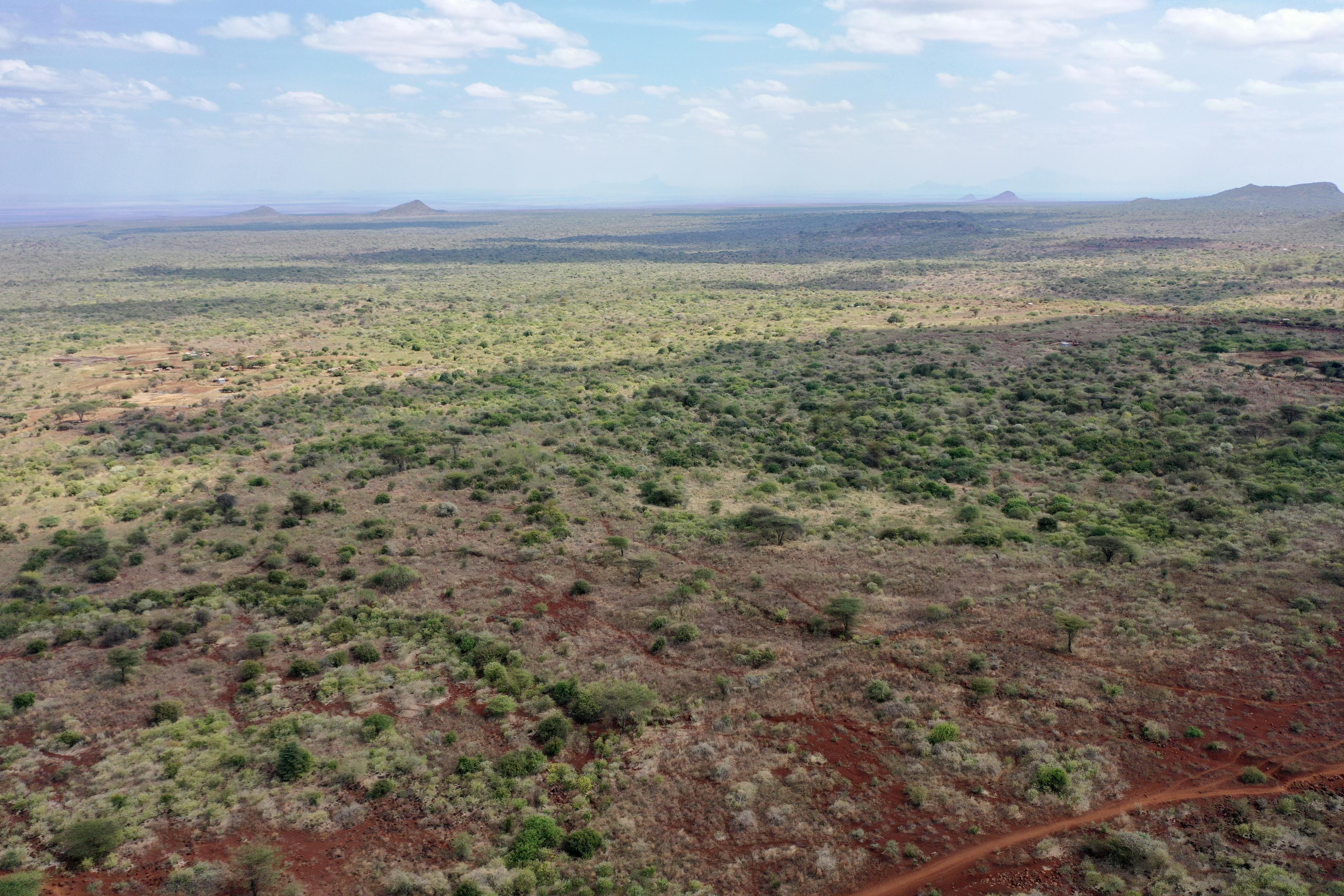 Landschap Kenia