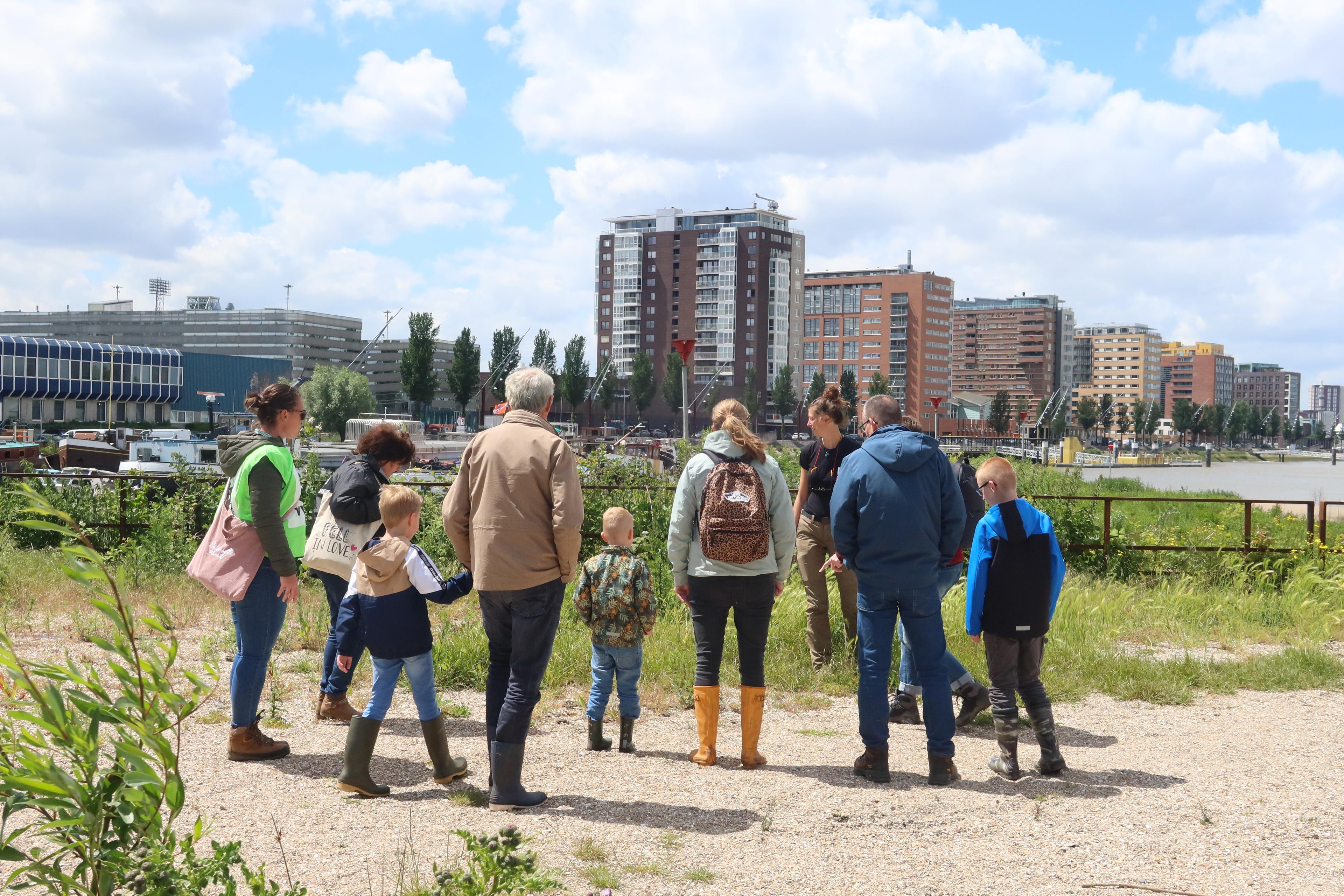 Vrijwilligersactiviteit Rotterdam Drechtsteden
