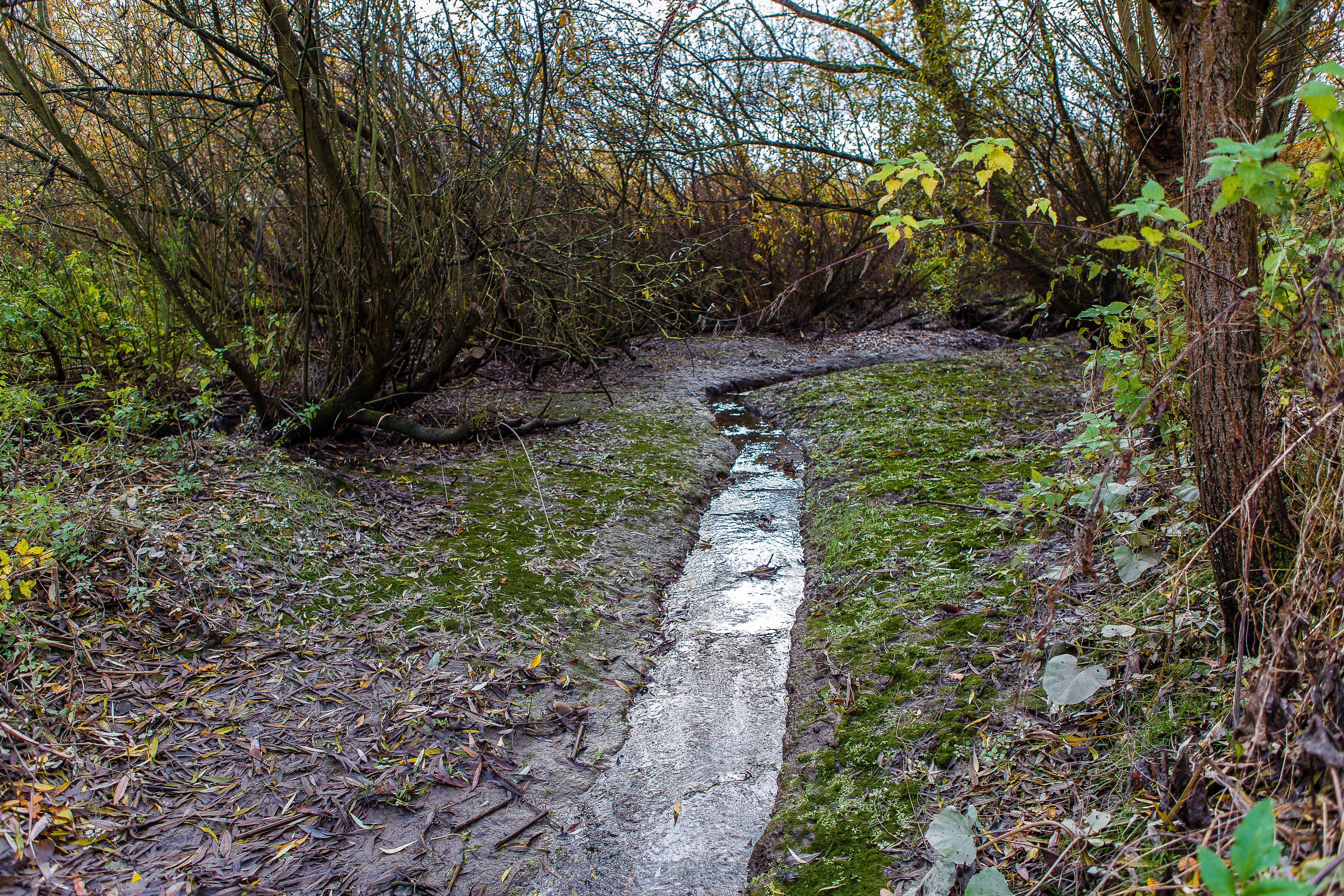 Getijdenparken geul