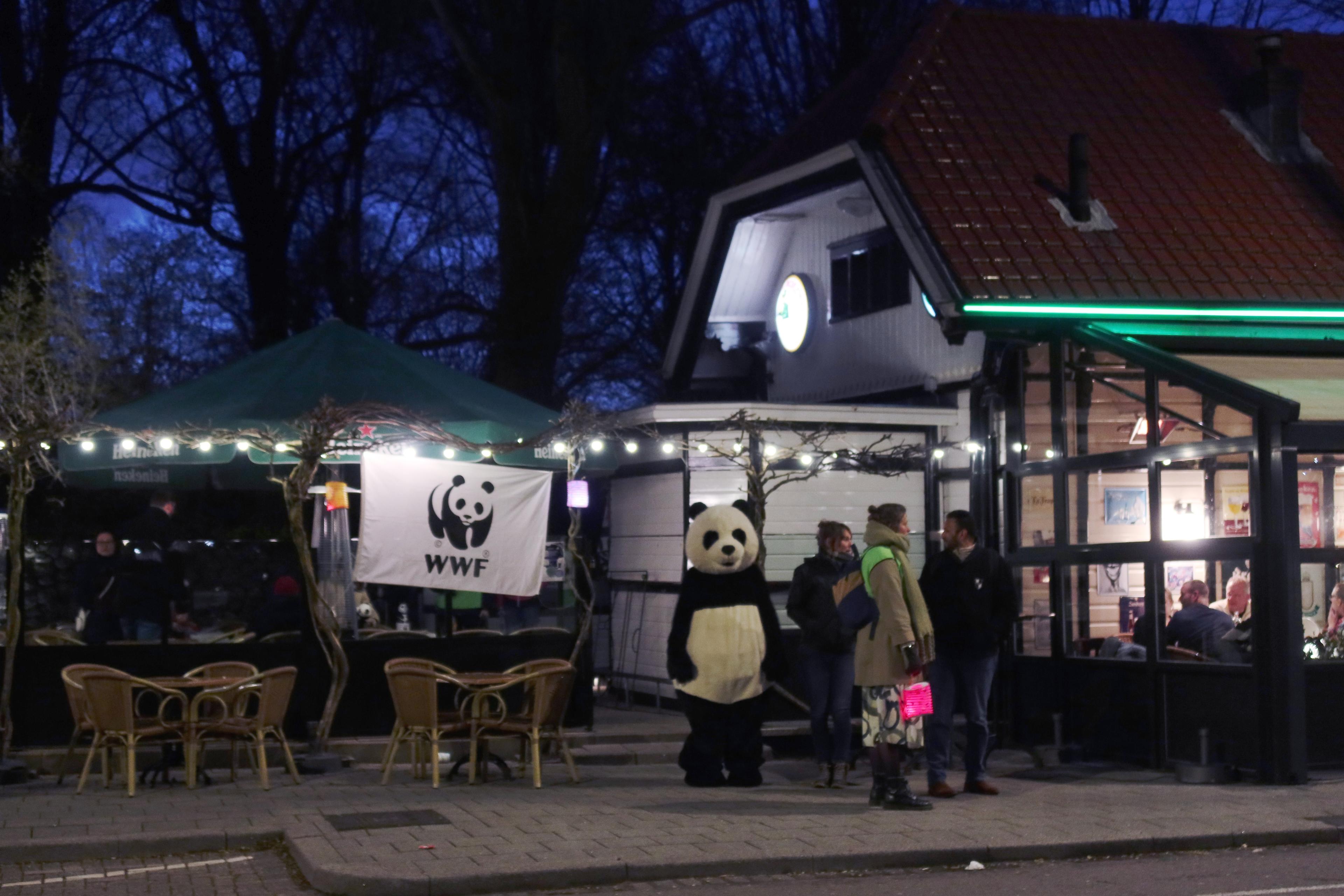 Vrijwilligersactiviteit Rotterdam Drechtsteden
