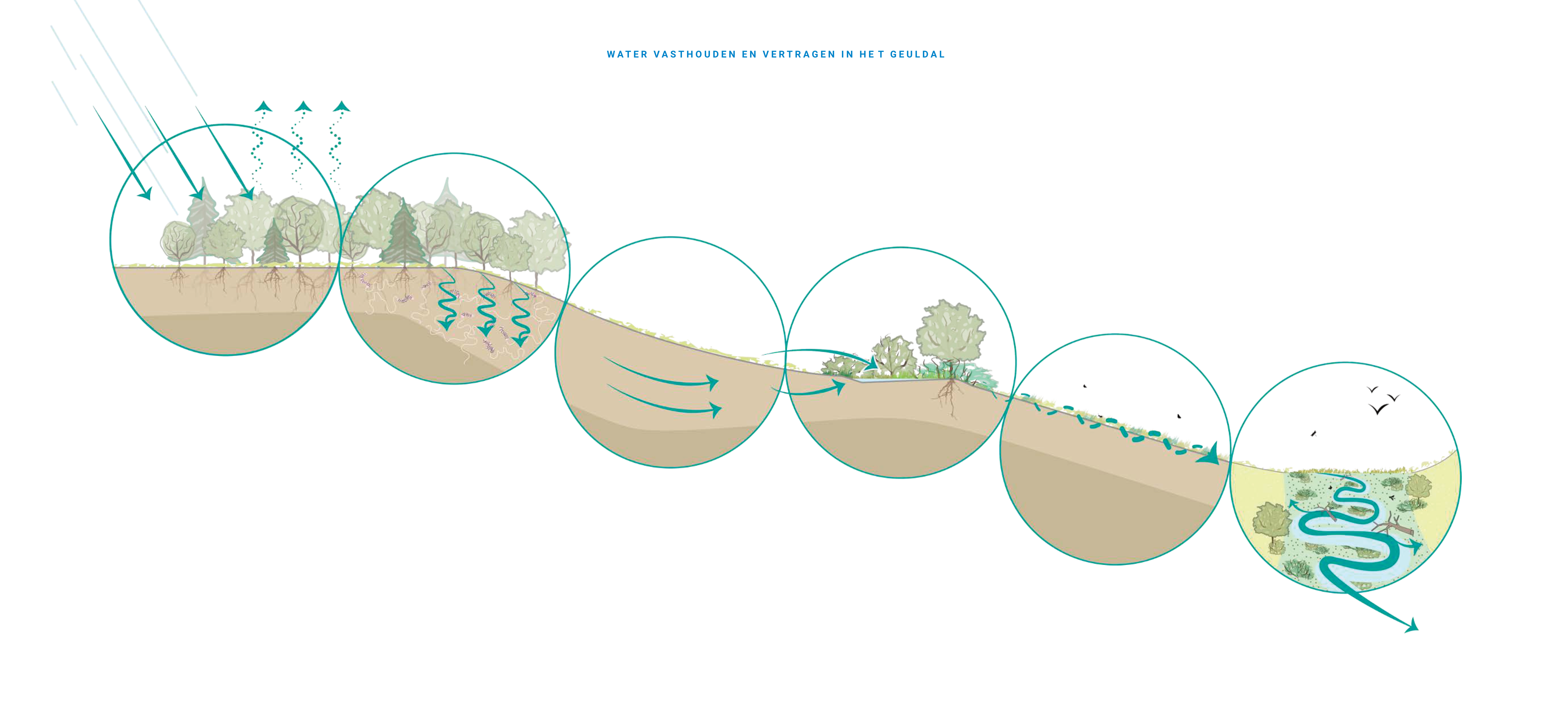 Water vasthouden en vertragen in het geuldal.png