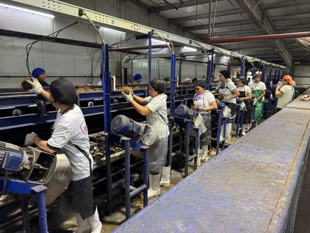 workers in a coconut factory in the Philippines