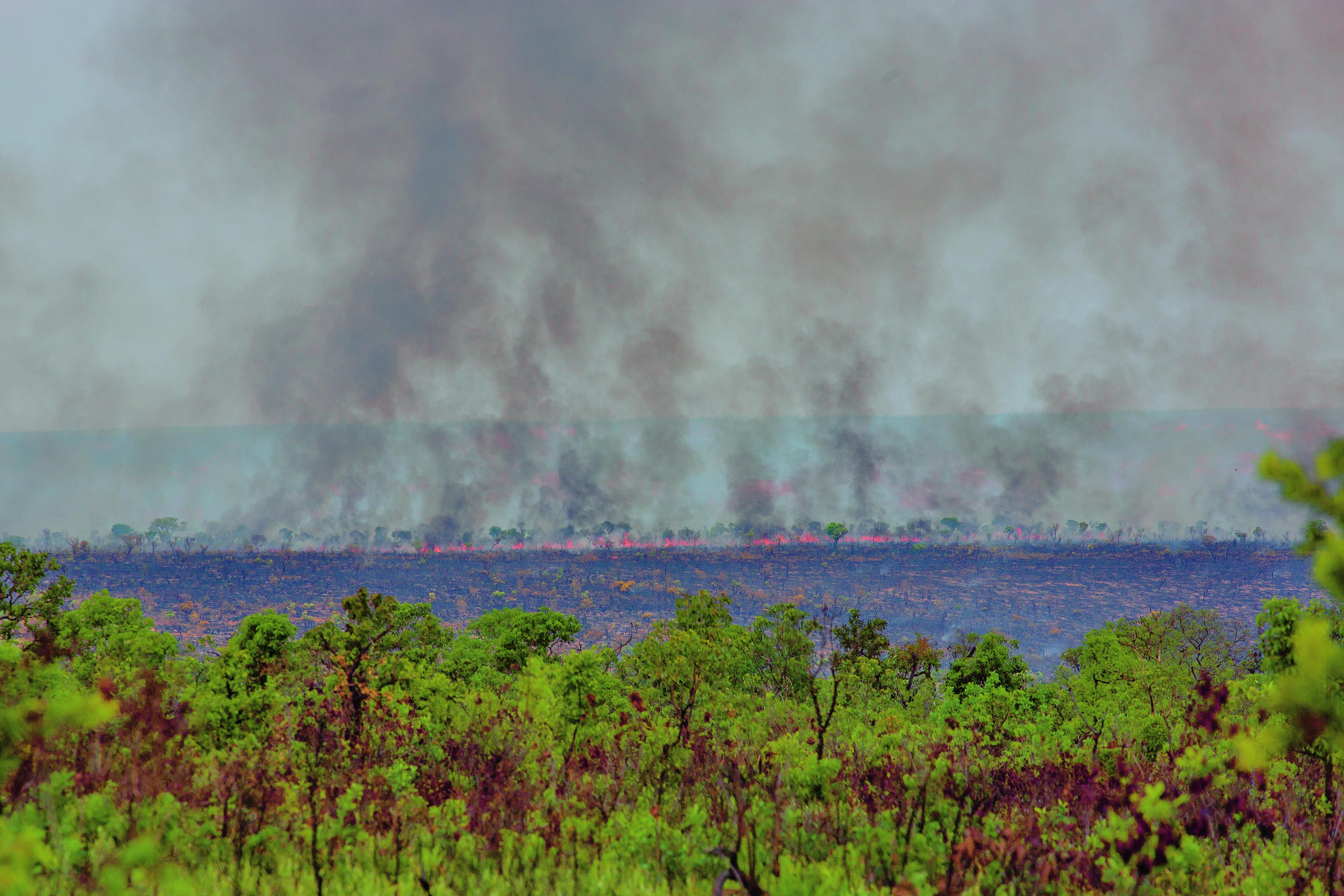 Bosbrand in Cerrado