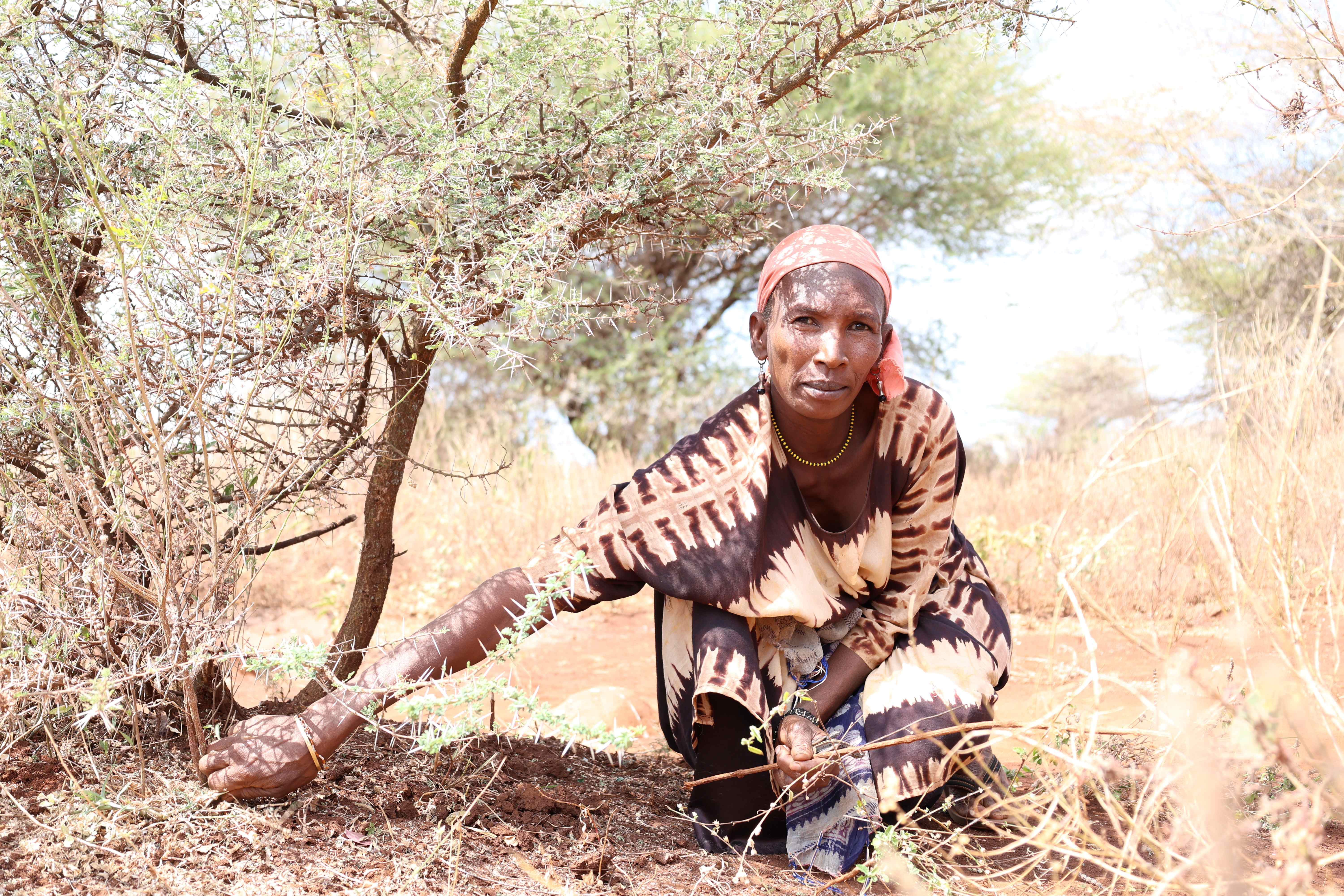 Woman in Marsabit
