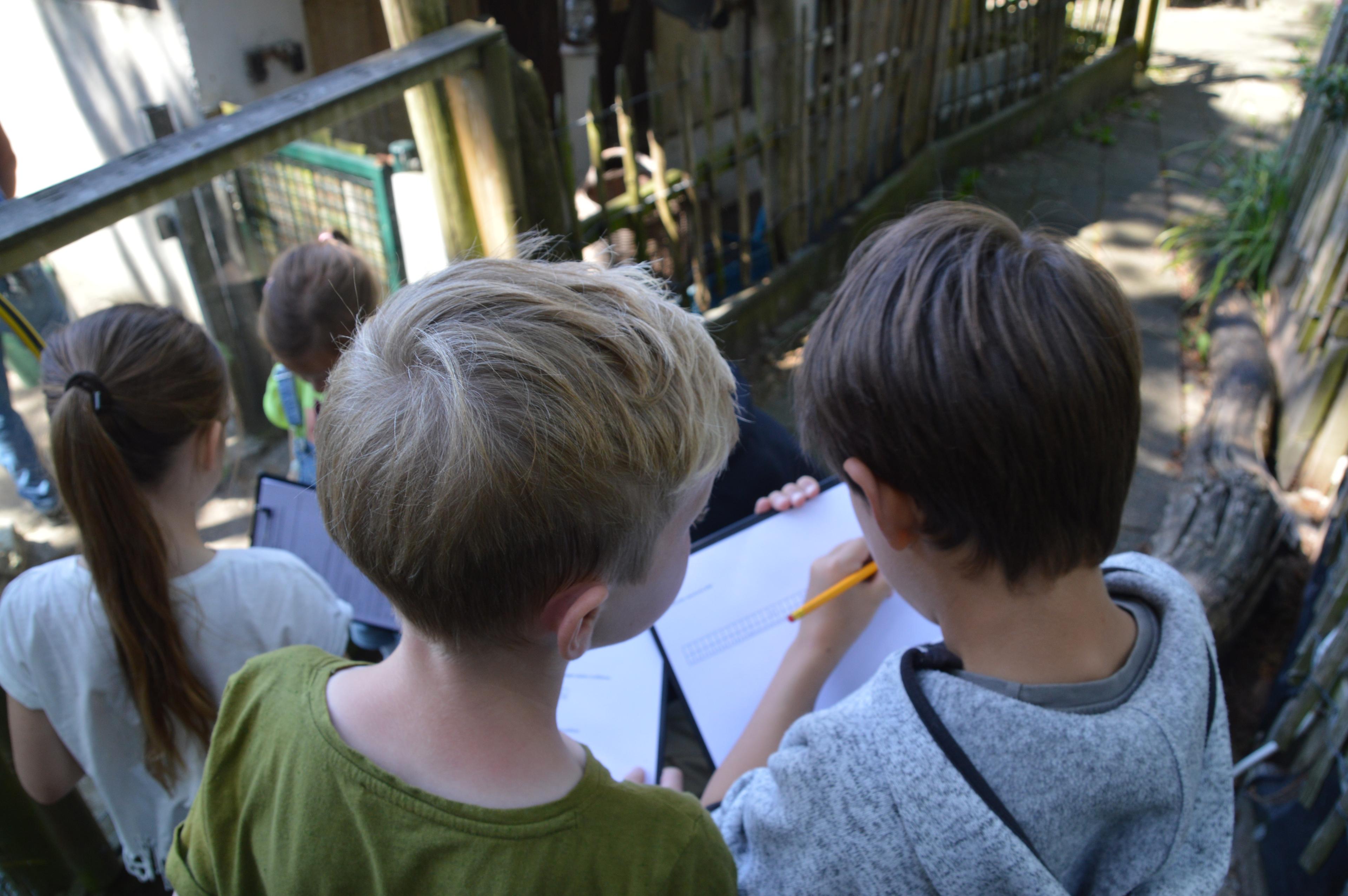 Speurtocht Artisklas