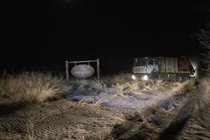 Neushoorn_2026_89.JPG