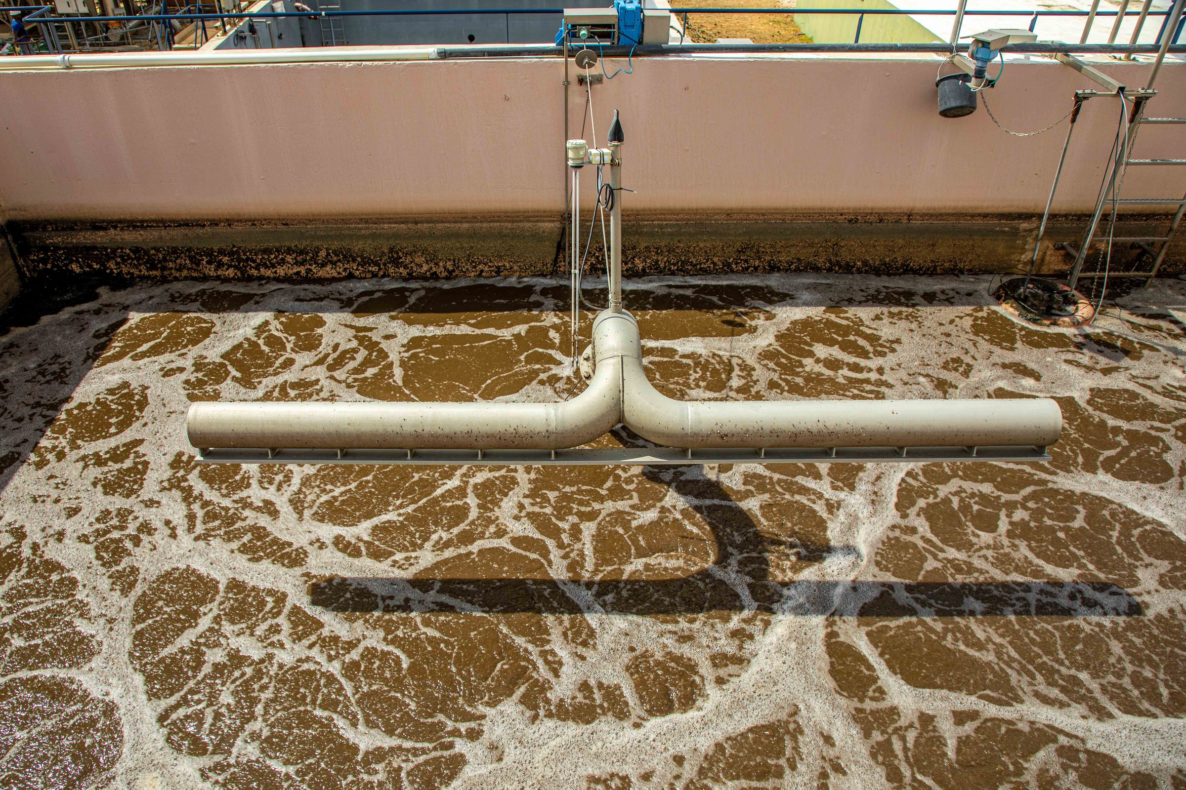 WEB klein-10.jpg