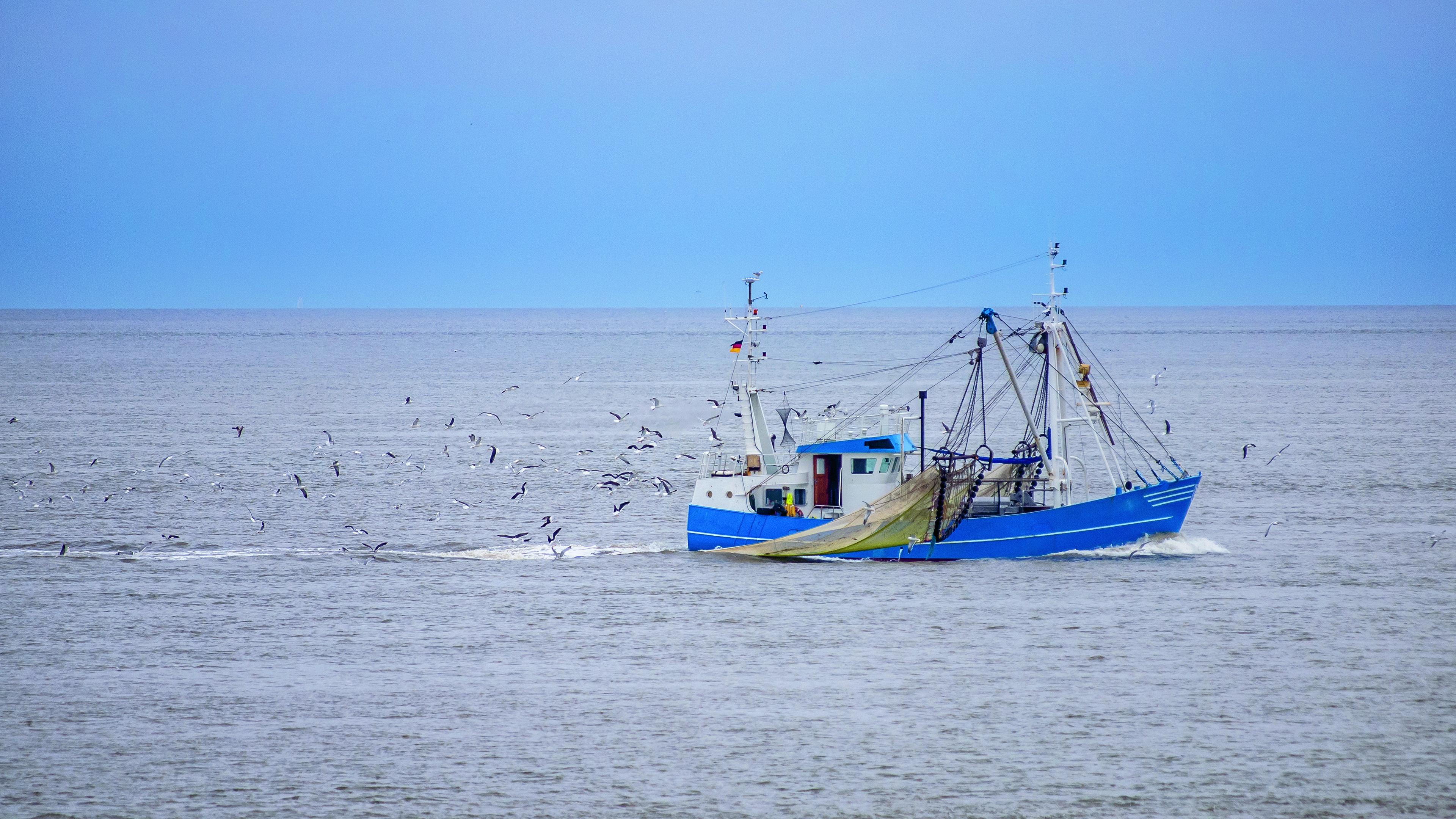 Groene bril: De vis raakt op