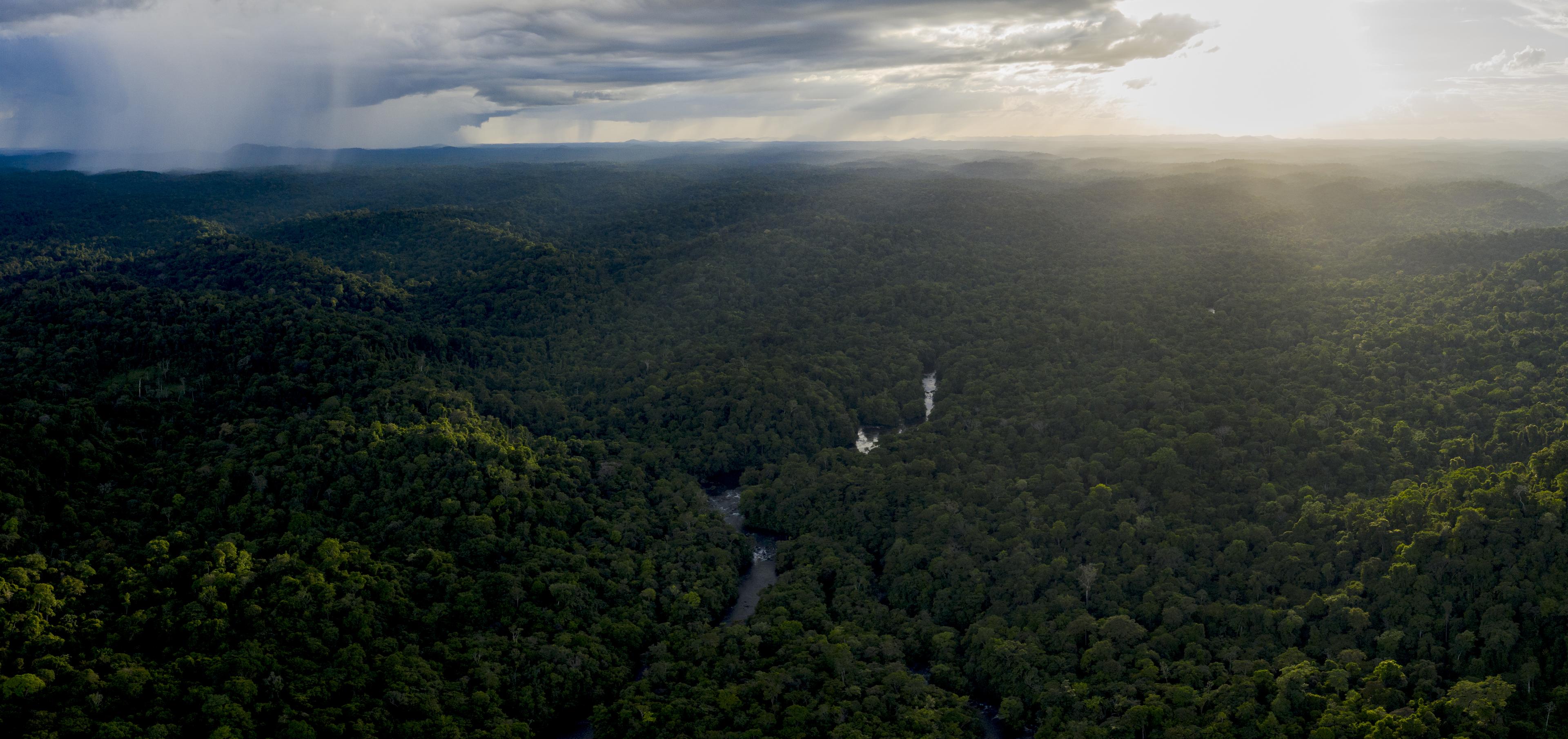 Bovenaanzicht bos en rivier, Frans-Guinea