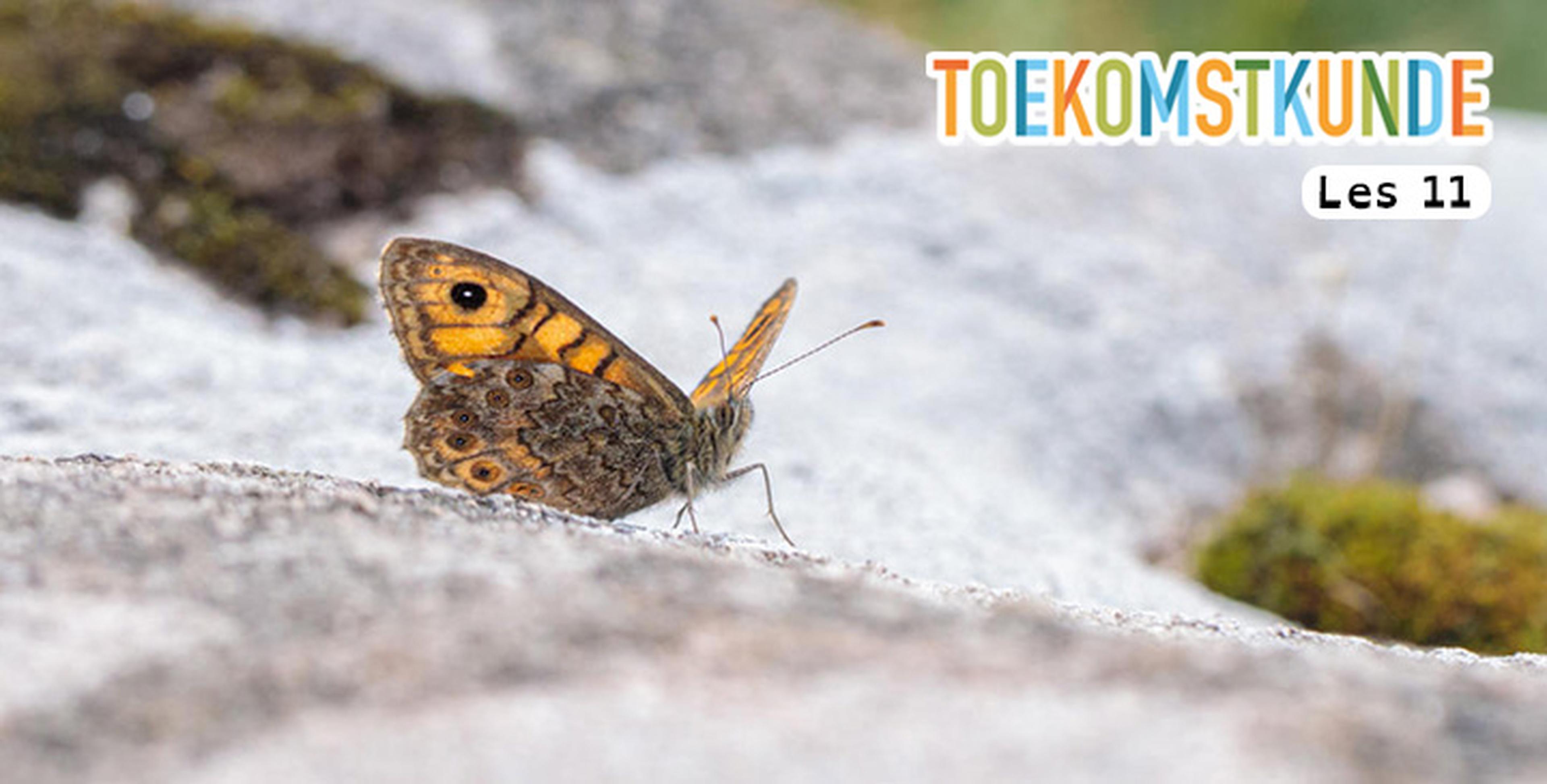Les 11: Minder stikstof, meer natuur