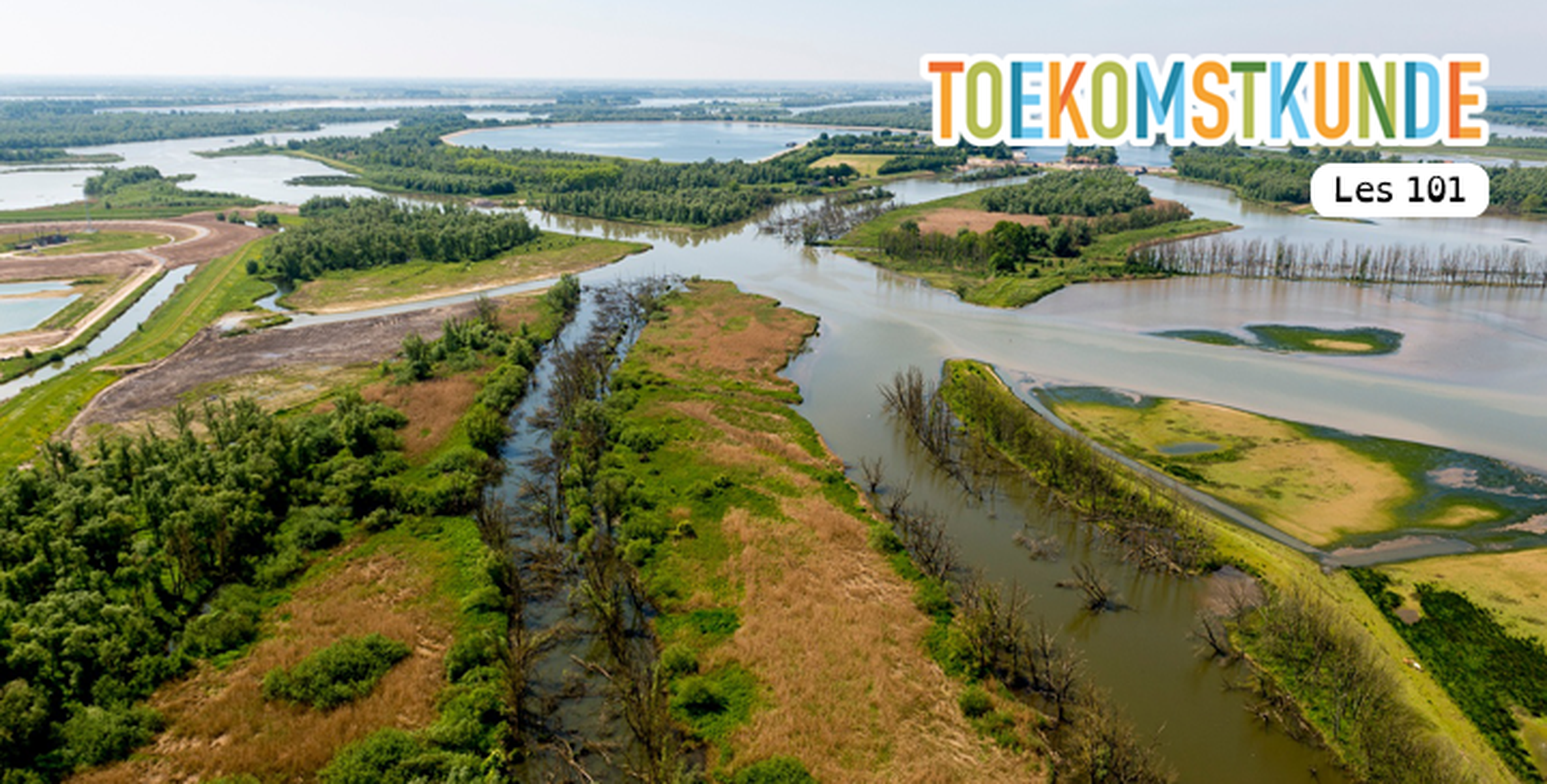 De Biesbosch