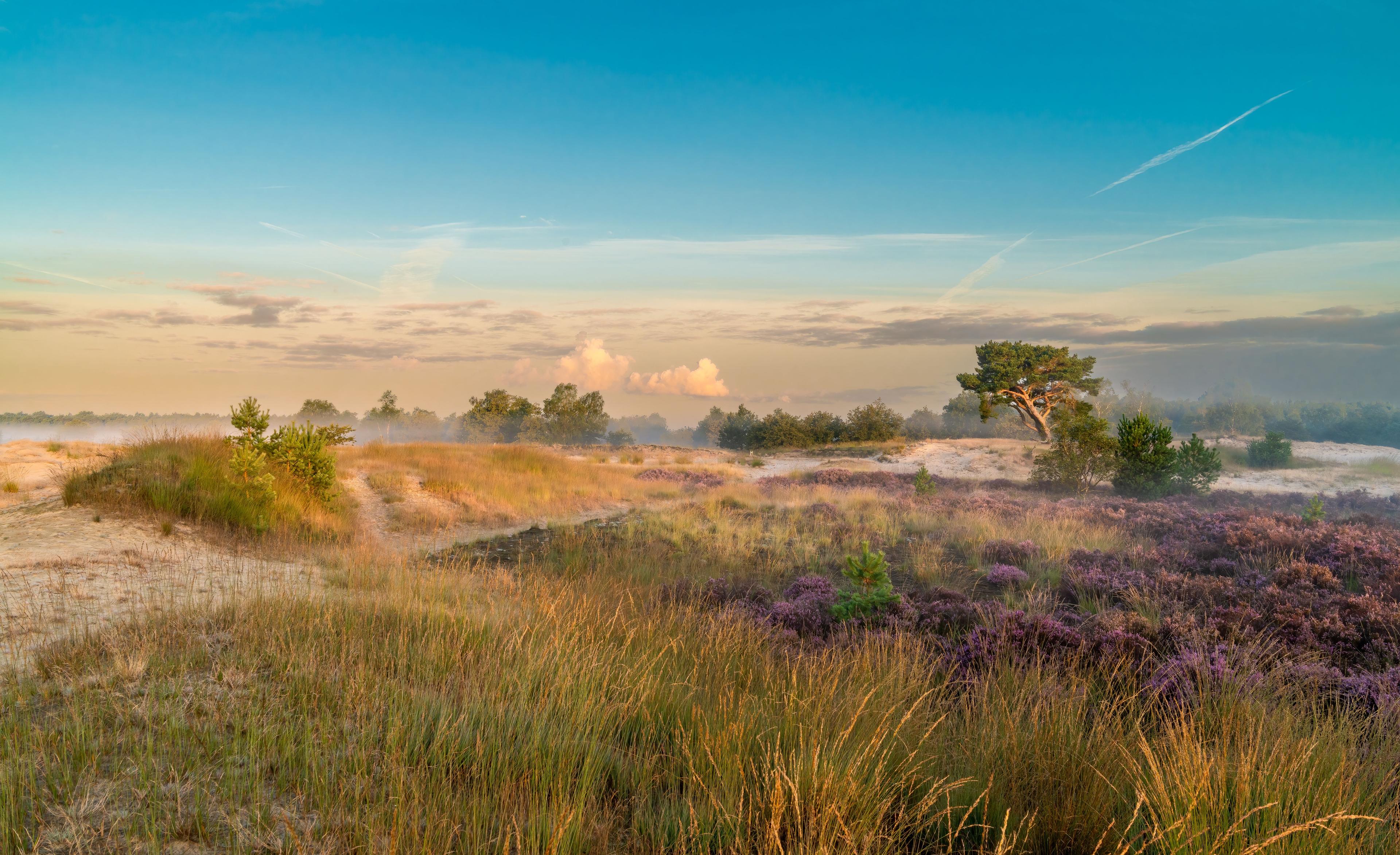 Loonse en Drunense duinen