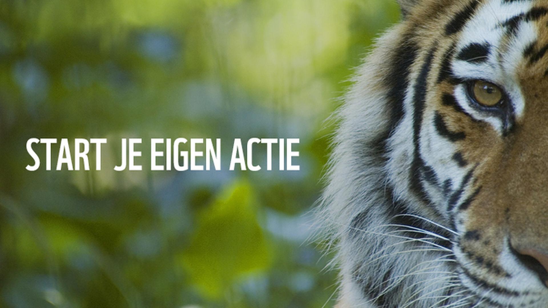 Tekst start je eigen actie met foto tijger