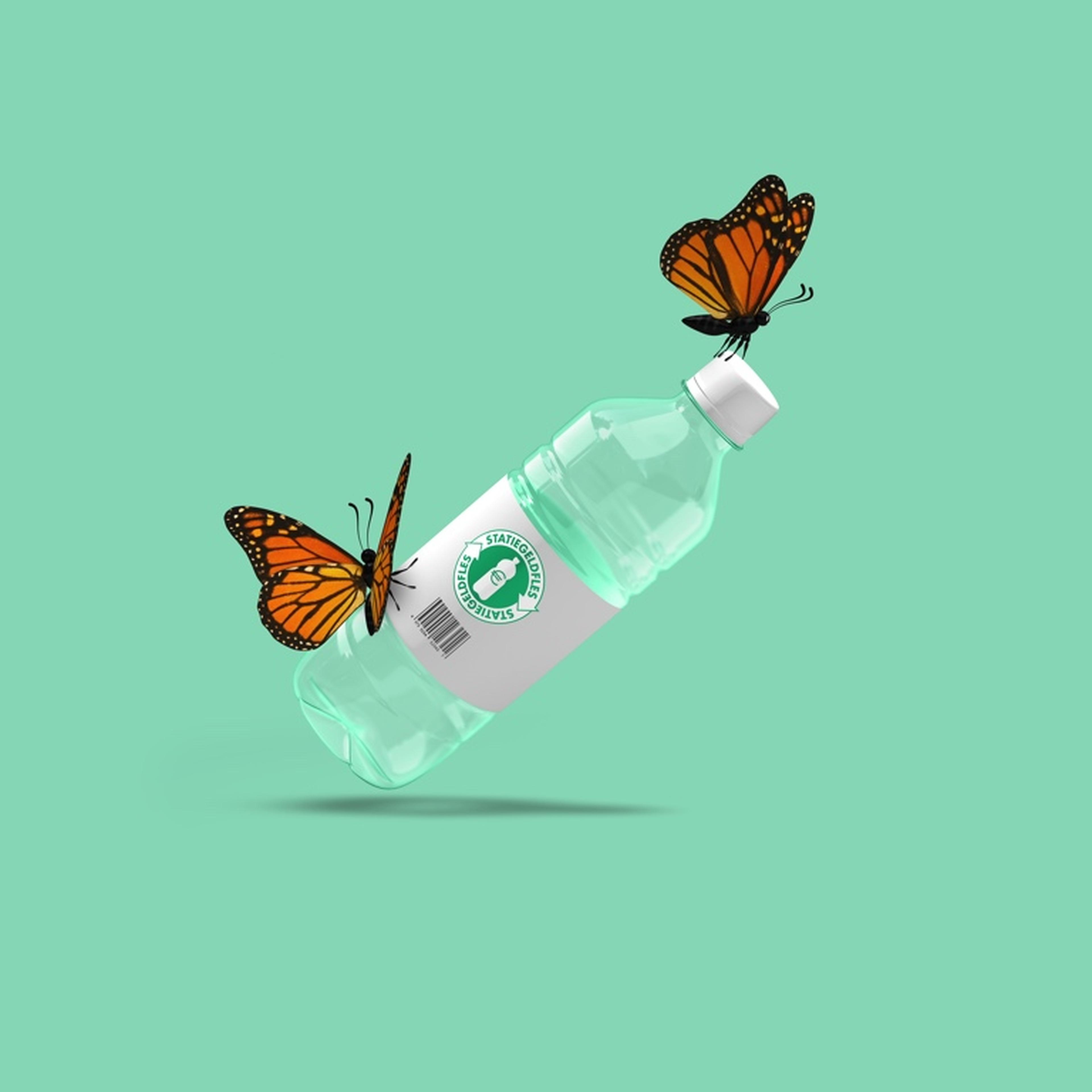 Vlinders tillen een klein plastic flesje op
