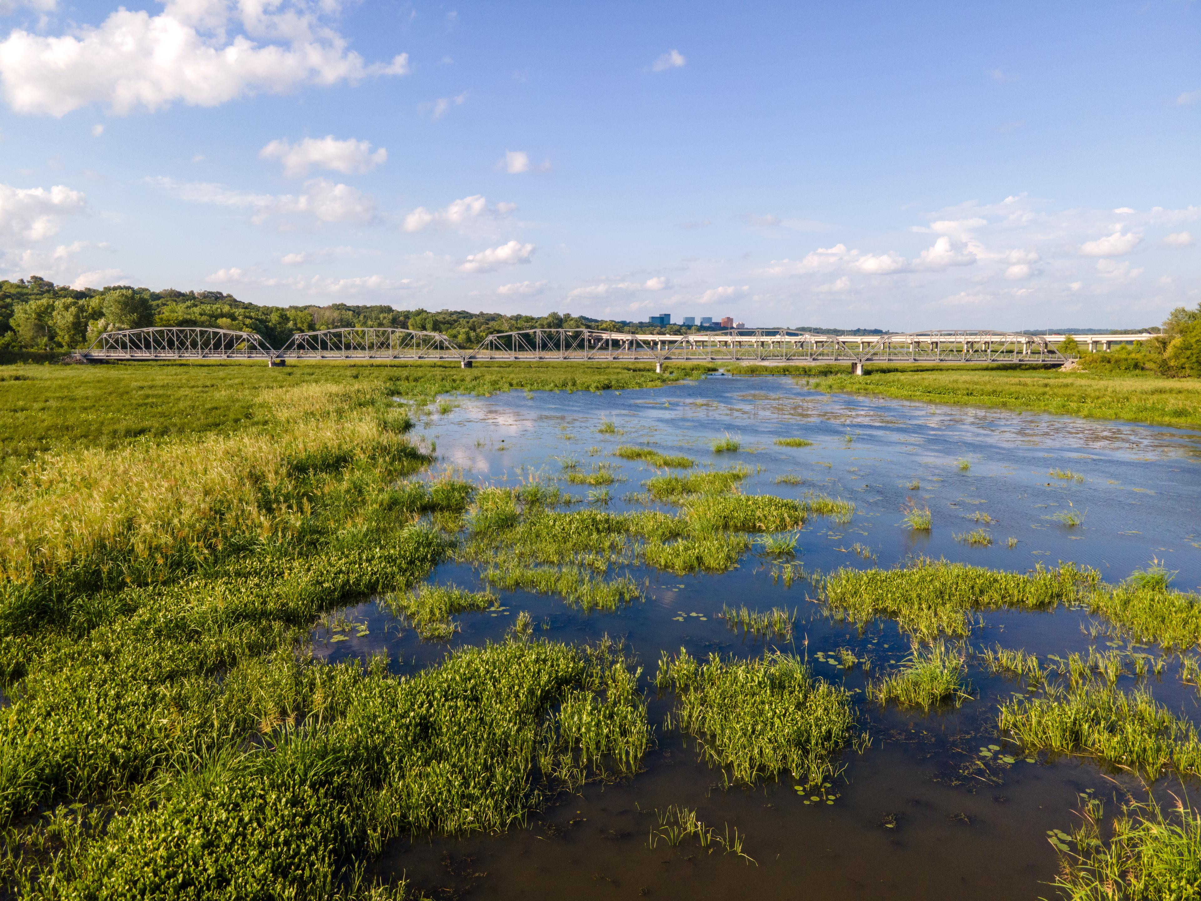 Oplossingen uit de natuur (nieuwe les)